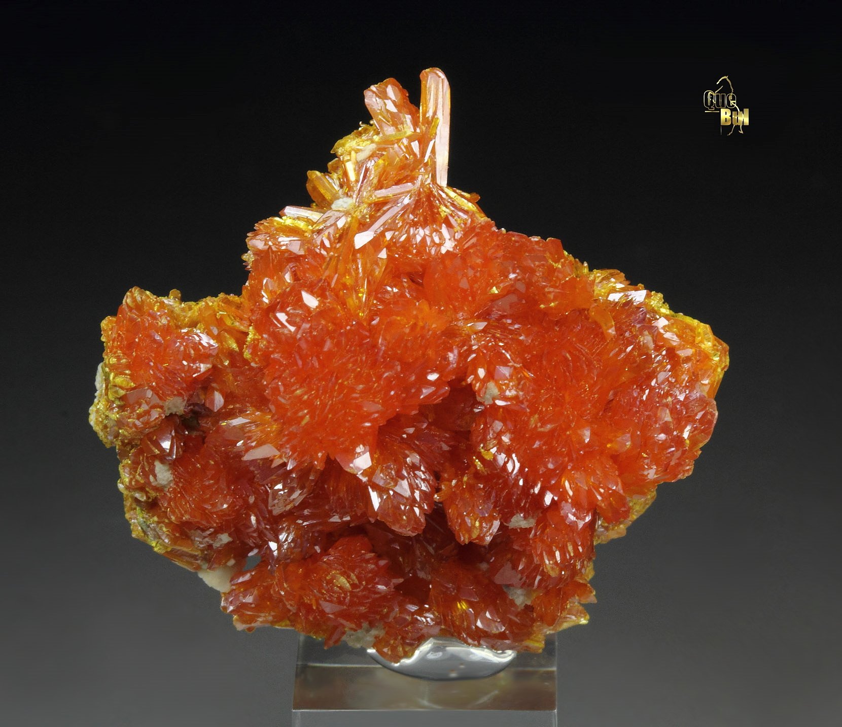 ORPIMENT