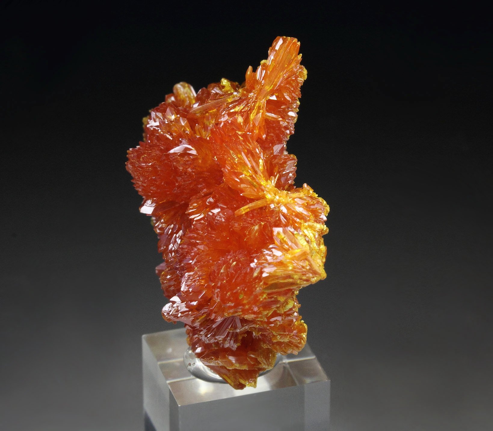 ORPIMENT