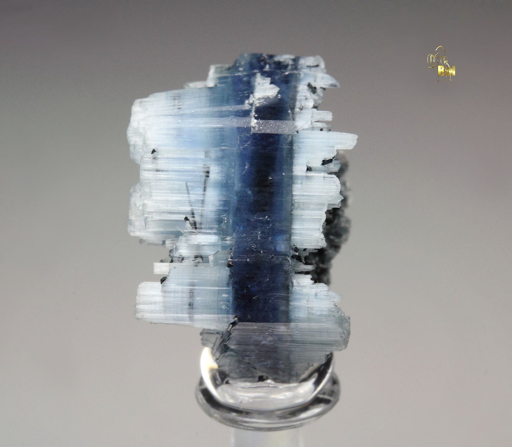 BERYL var. ALKALI-BERYL, TOURMALINE var. SCHORL