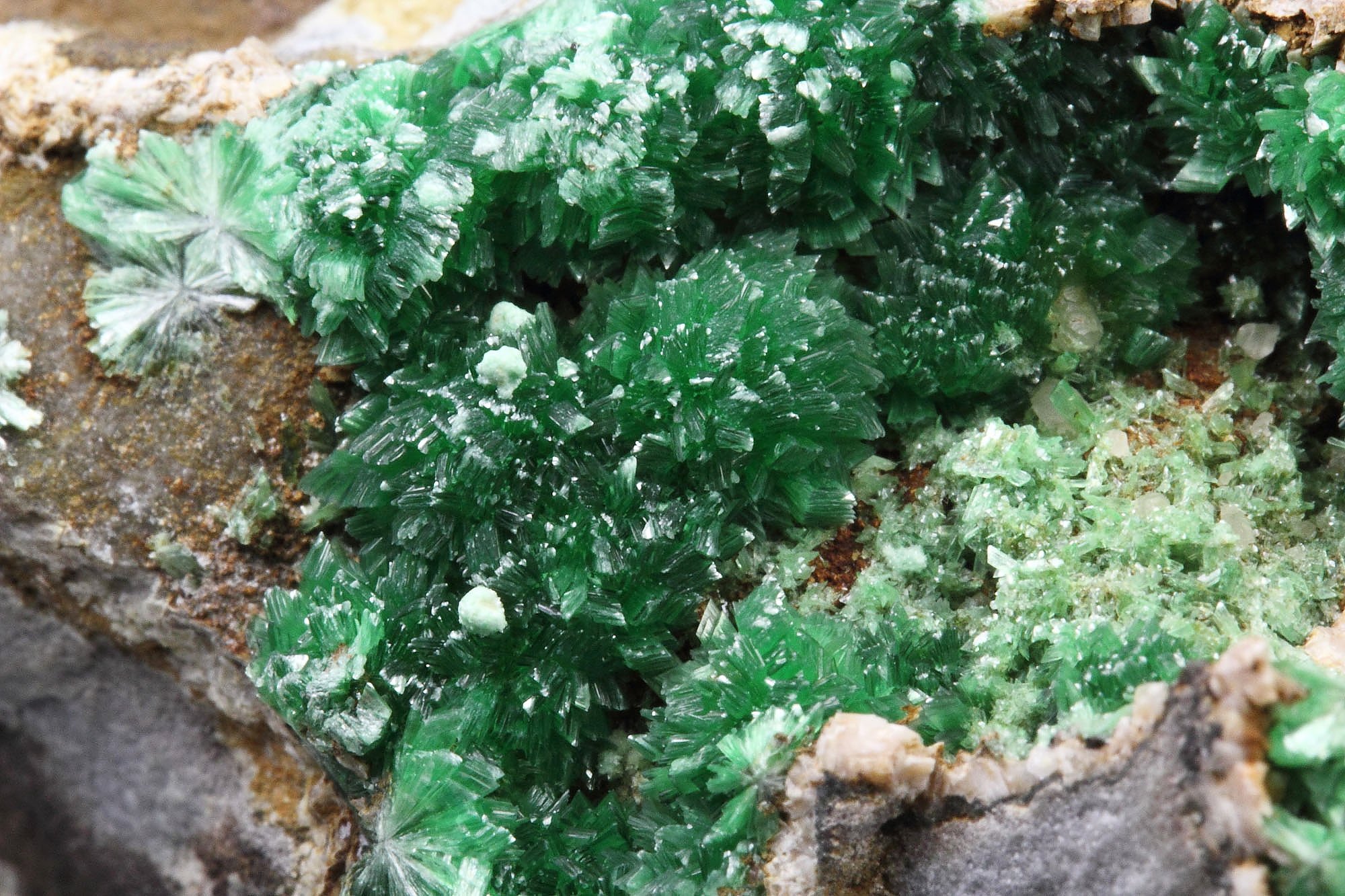 ANNABERGITE