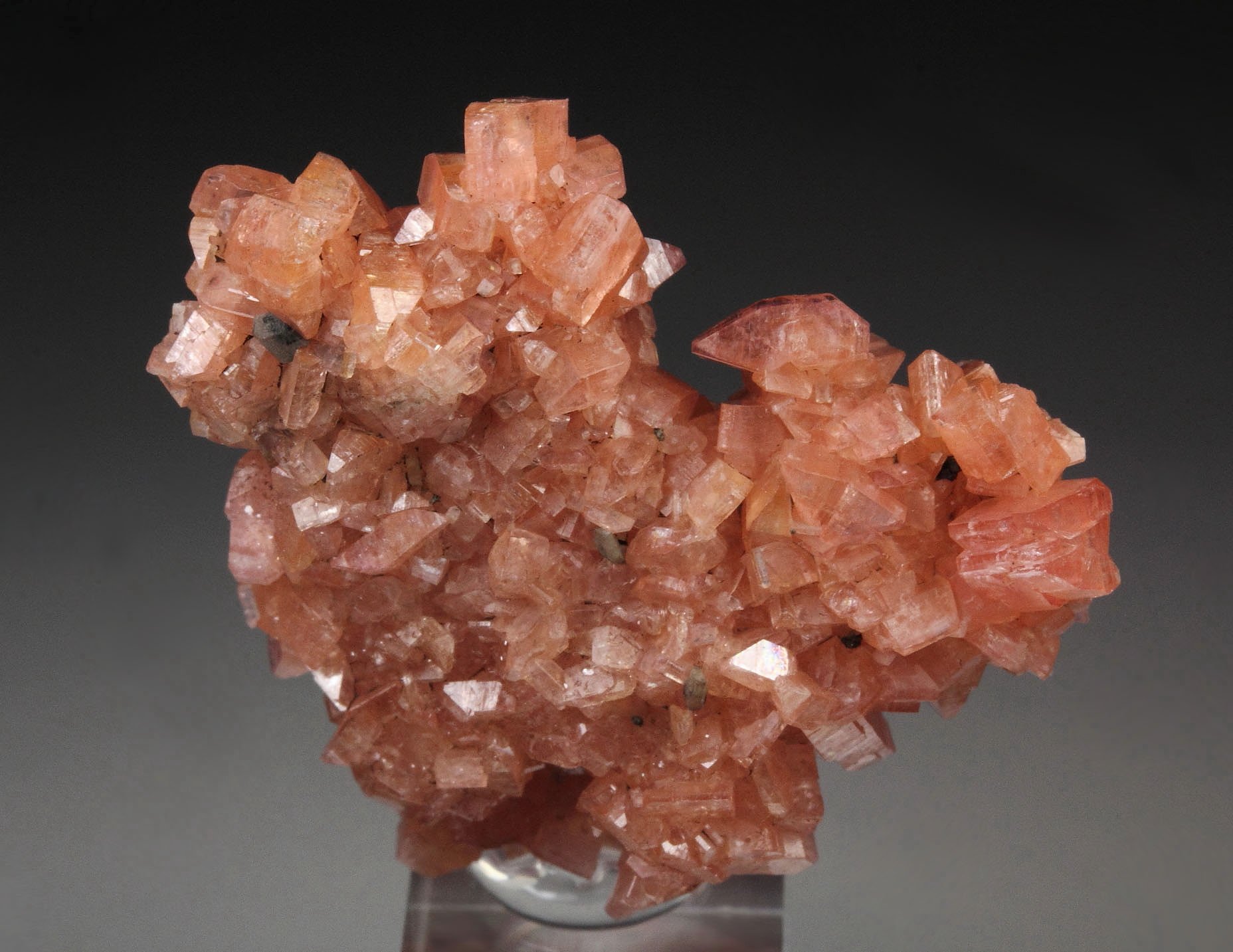 SERANDITE floater