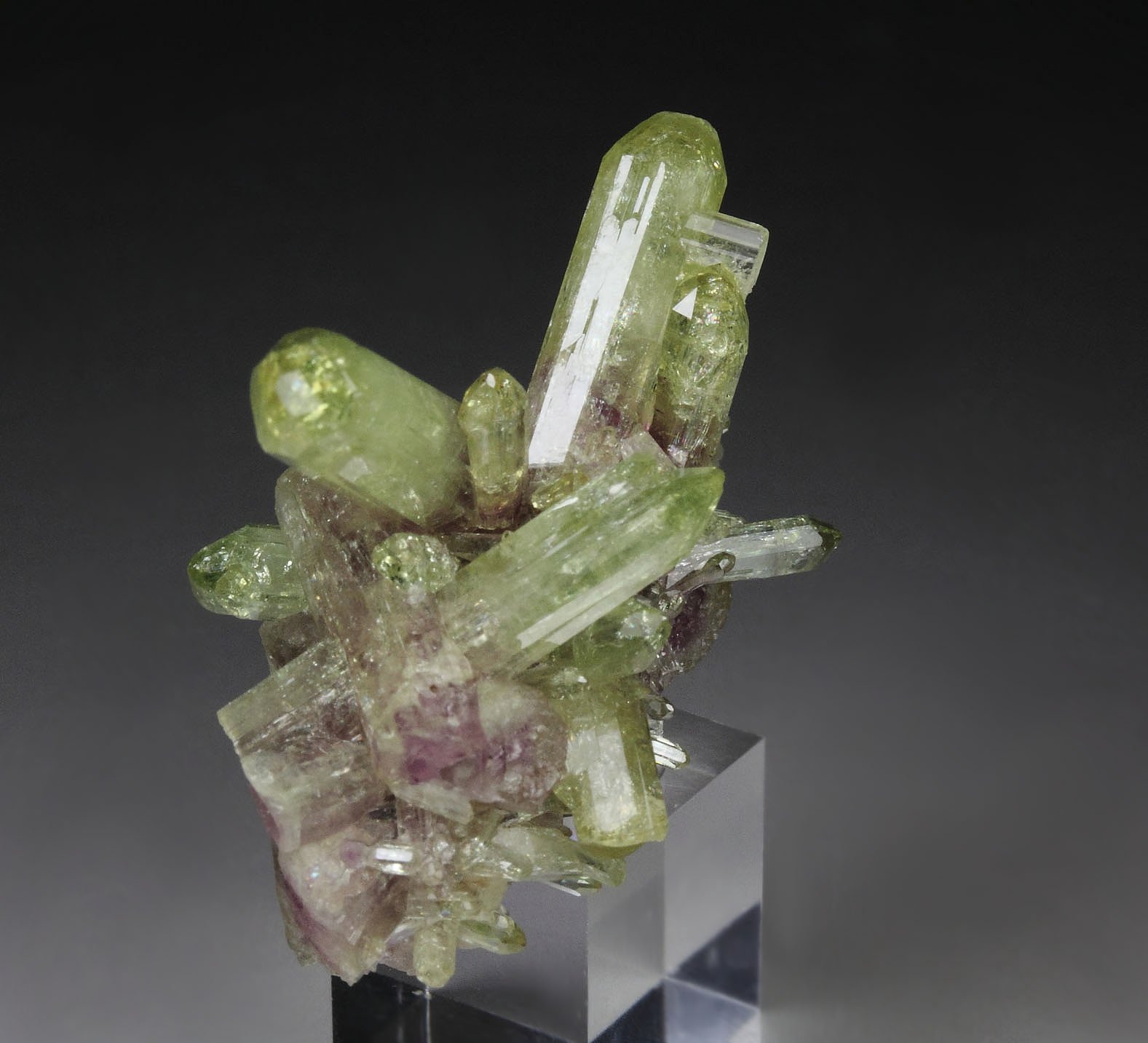 gem VESUVIANITE bi-color