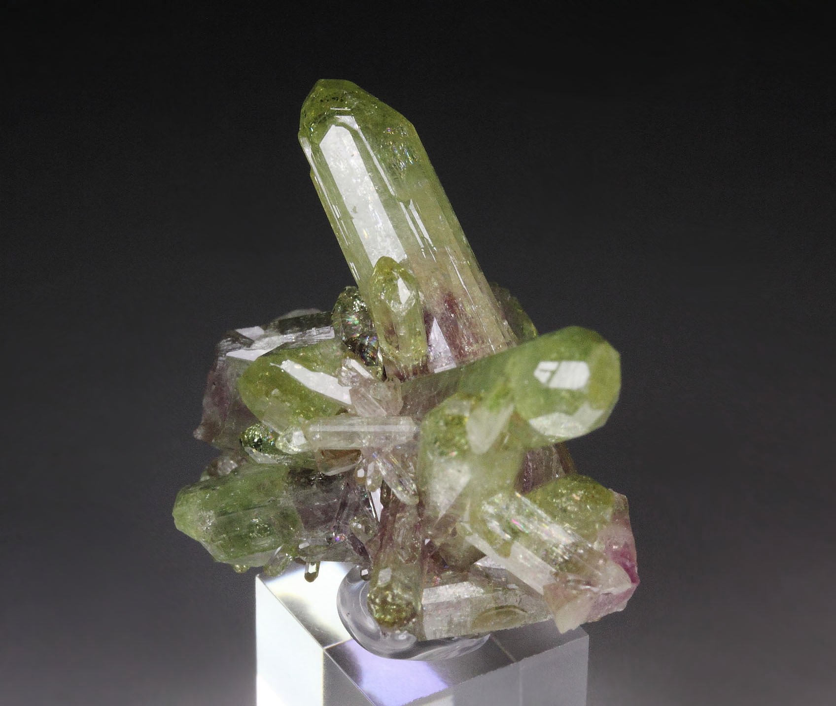 gem VESUVIANITE bi-color