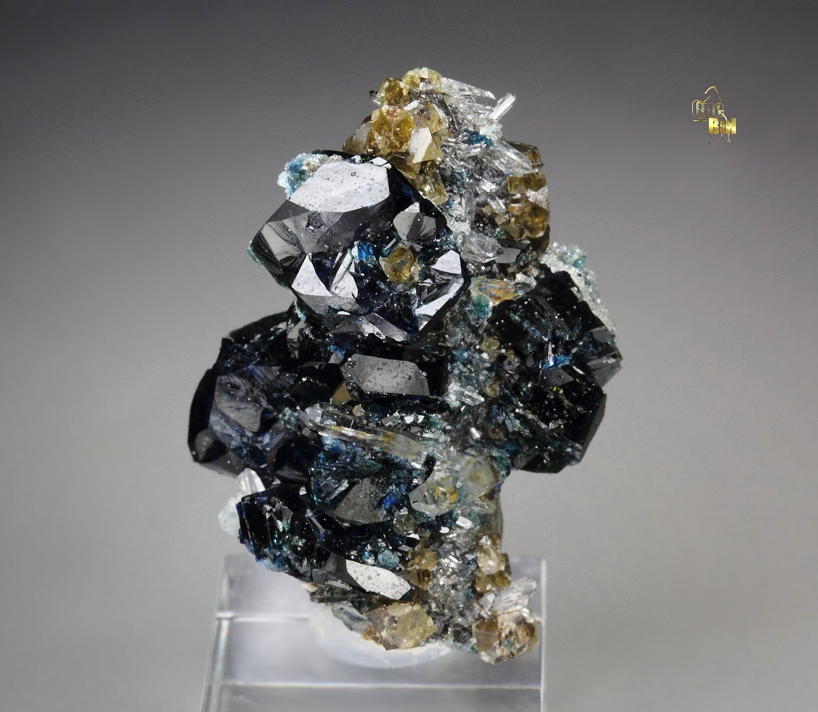 LAZULITE twinned, SIDERITE, QUARTZ 