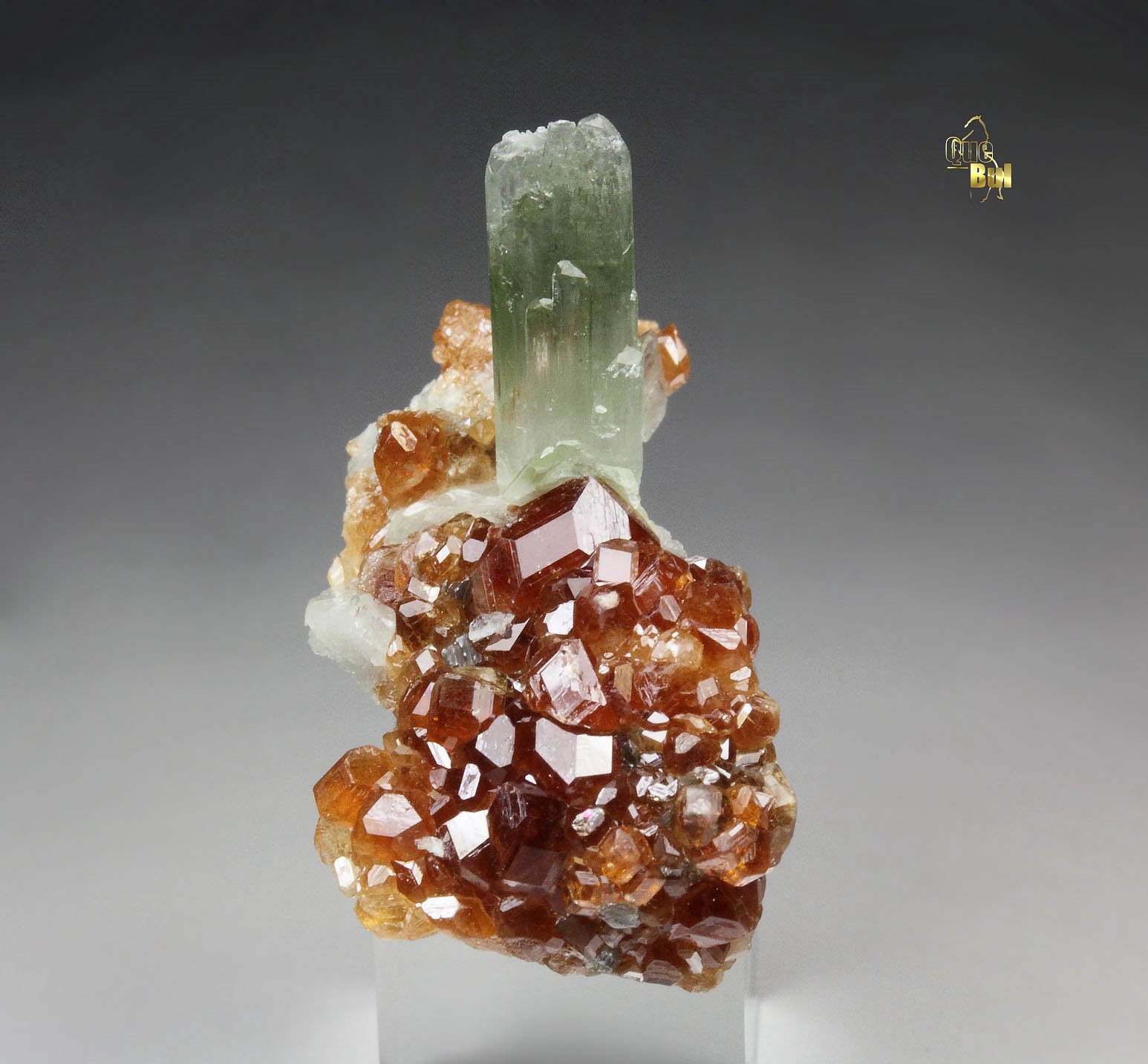 gem GARNET var. HESSONITE, DIOPSIDE