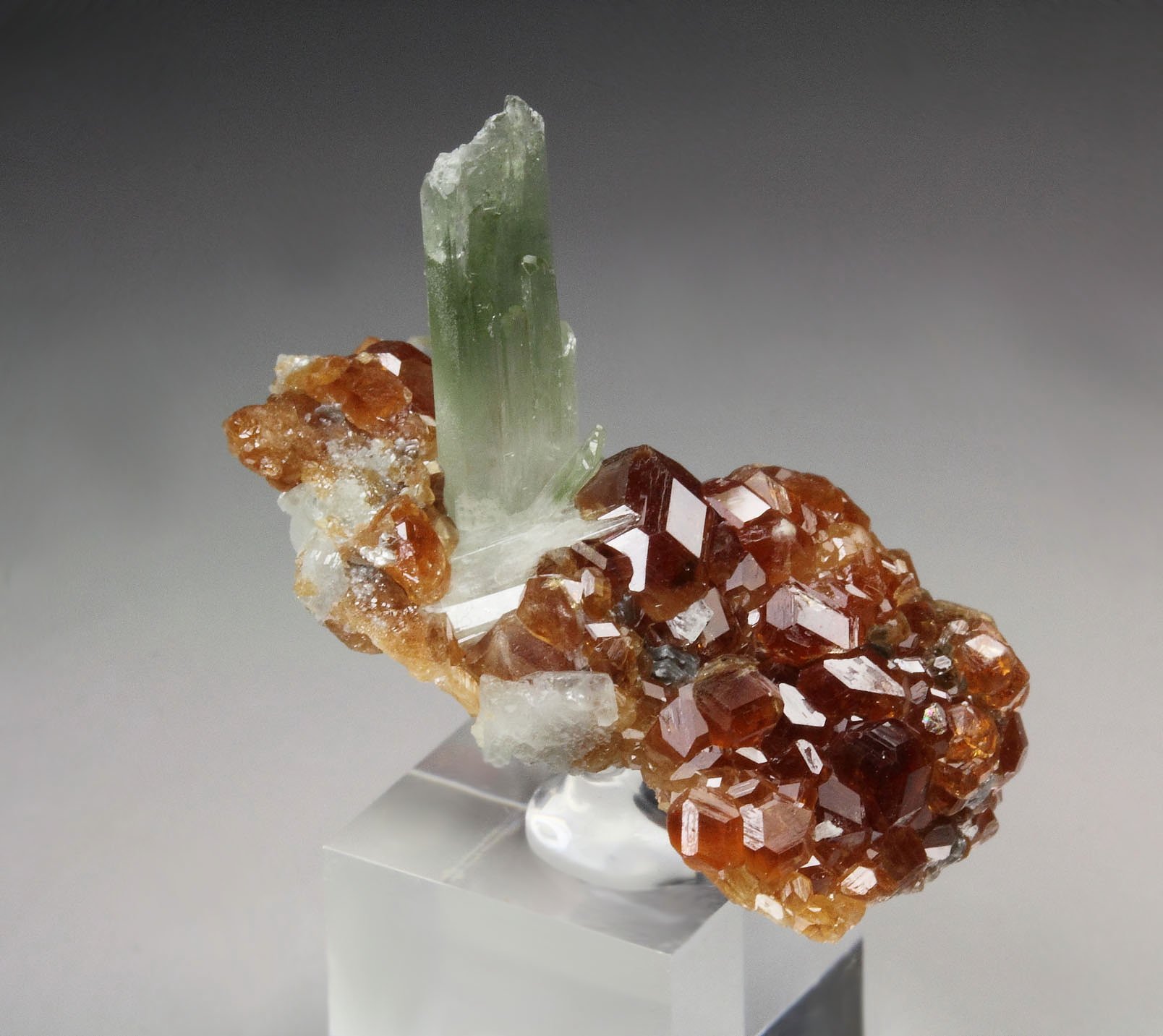gem GARNET var. HESSONITE, DIOPSIDE