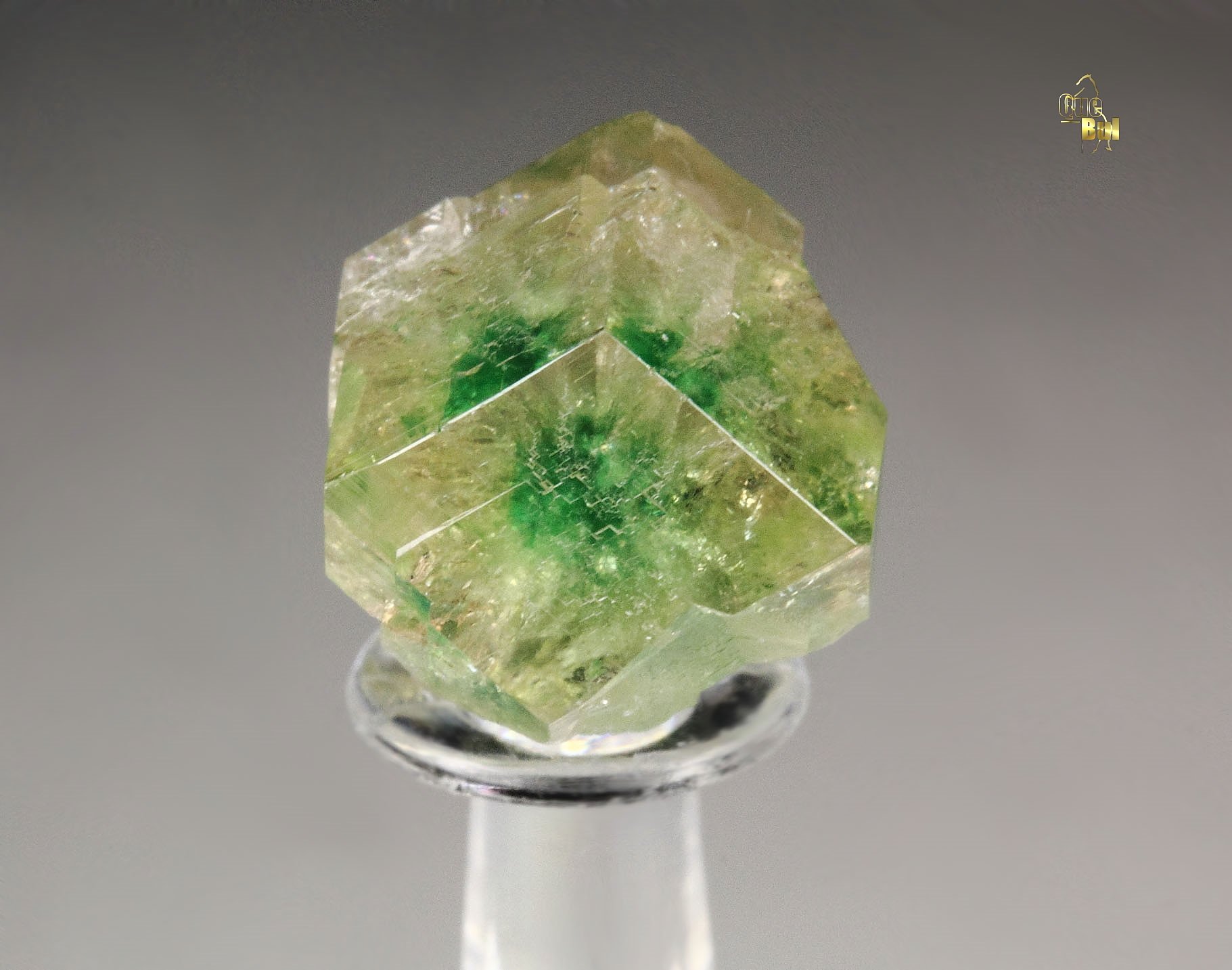 gem GARNET var. GROSSULAR with GREEN CHROMIAN PHANTOM