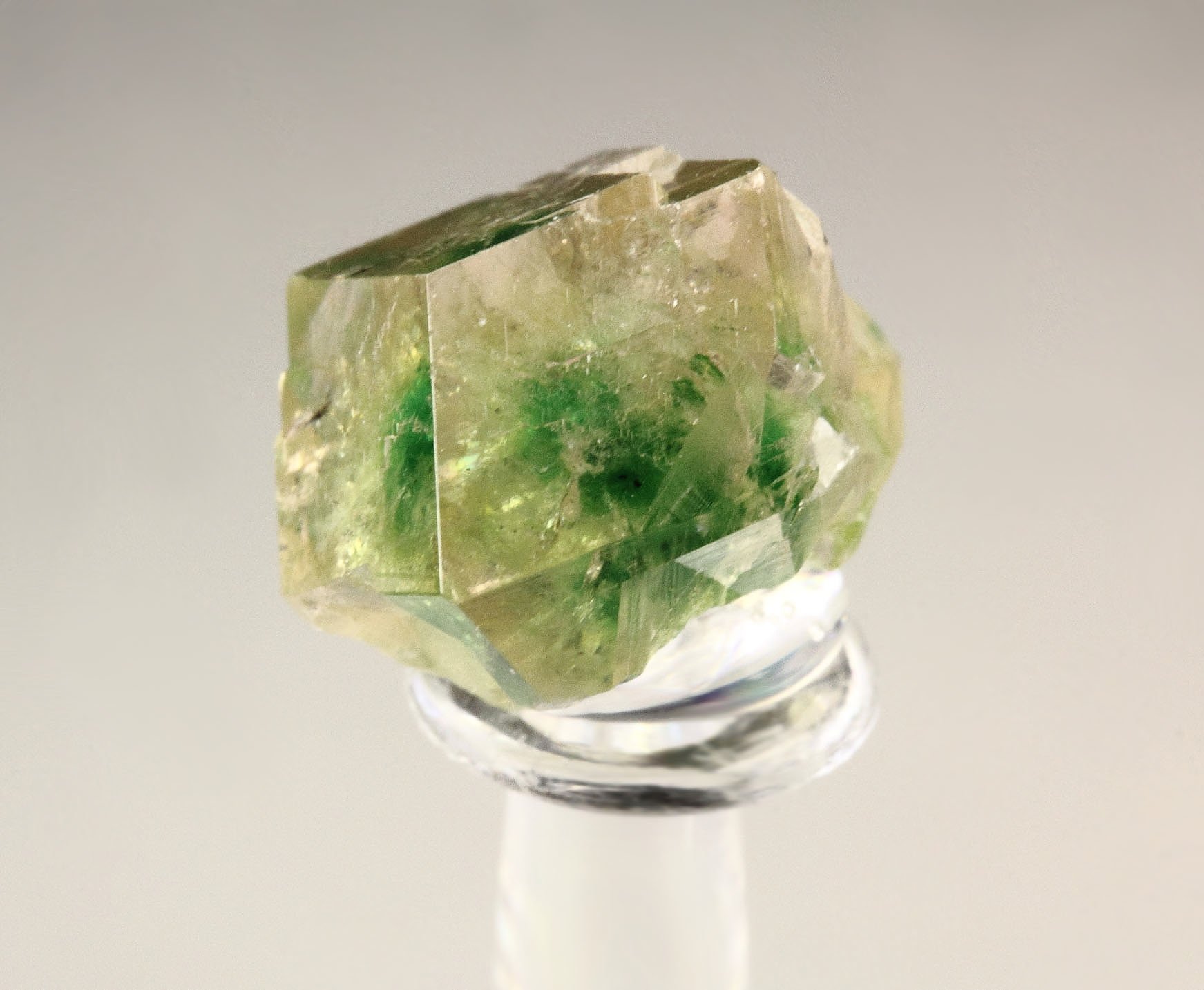 gem GARNET var. GROSSULAR with GREEN CHROMIAN PHANTOM