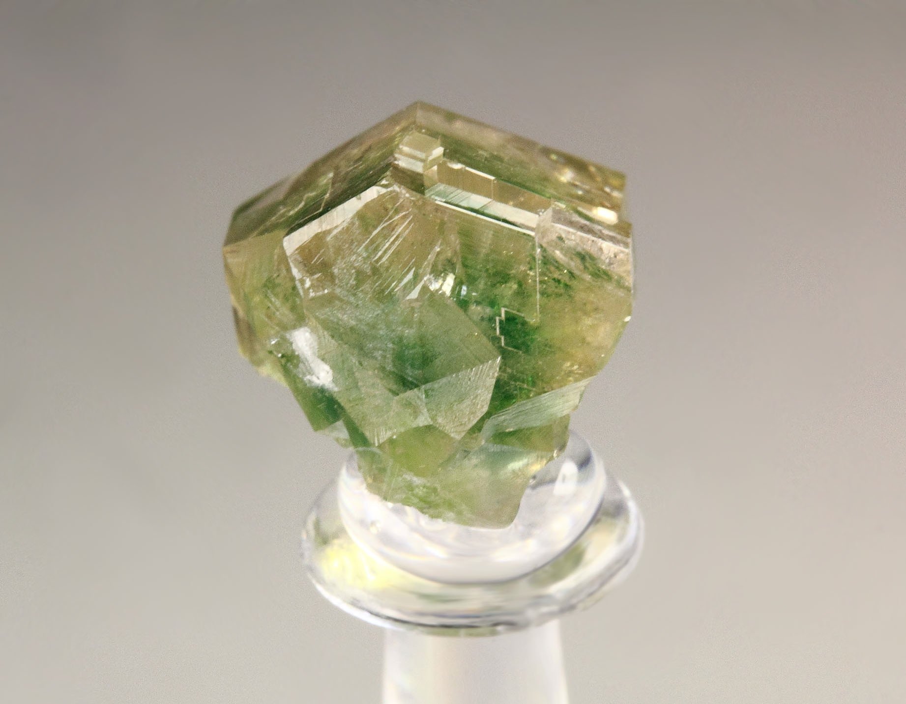 gem GARNET var. GROSSULAR with GREEN CHROMIAN PHANTOM