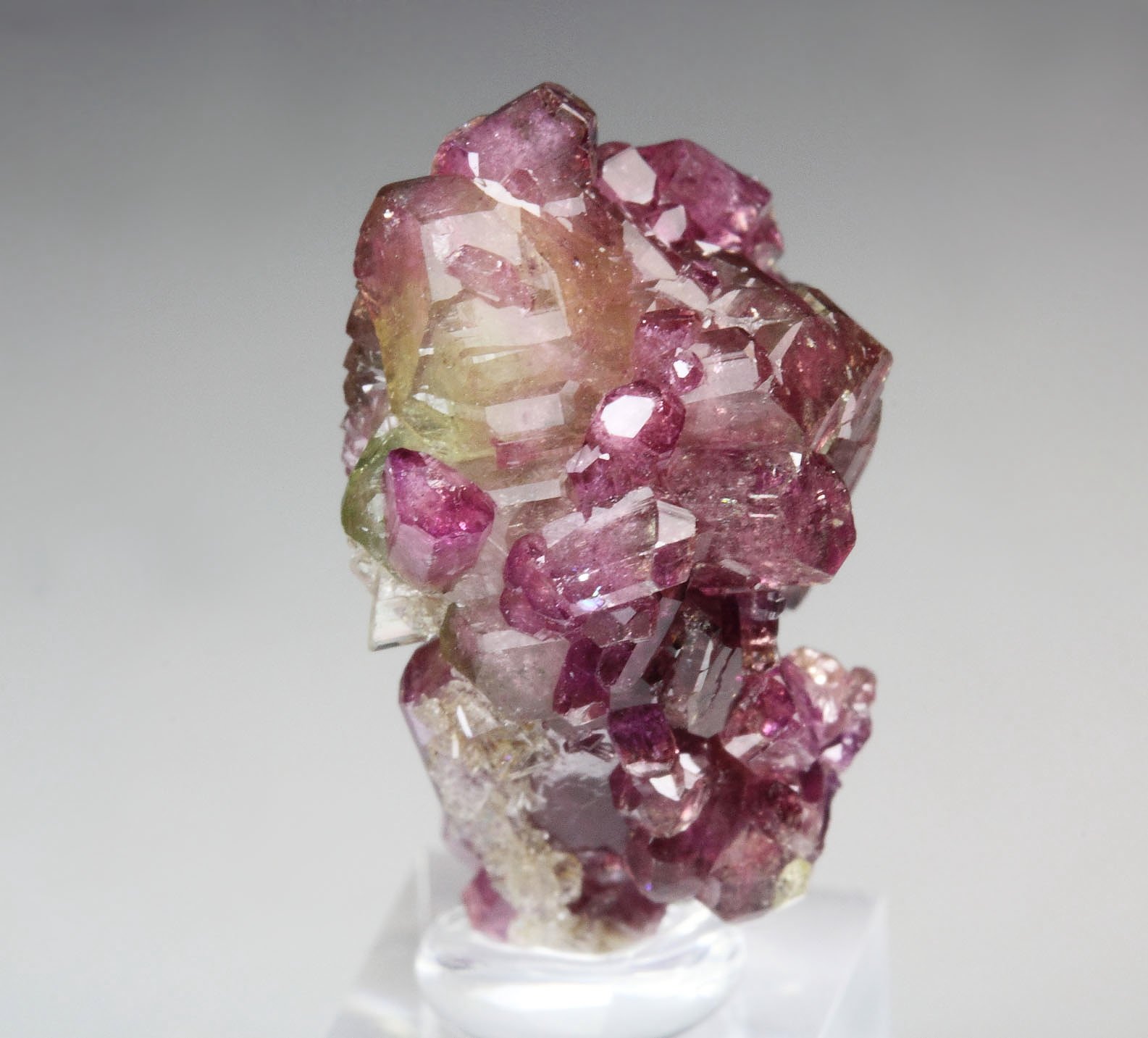 gem VESUVIANITE var. MANGANOAN