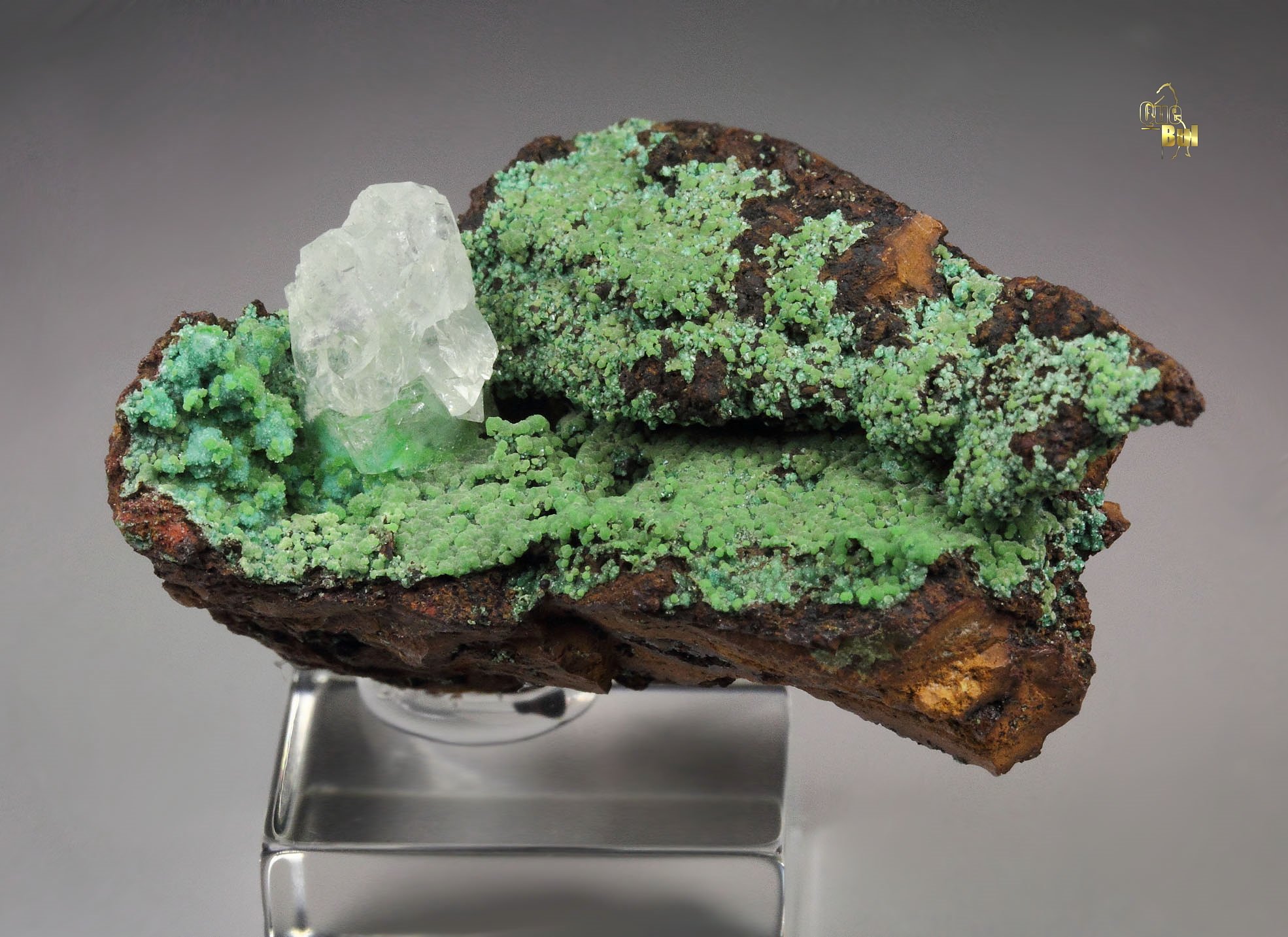 CONICHALCITE, CALCITE