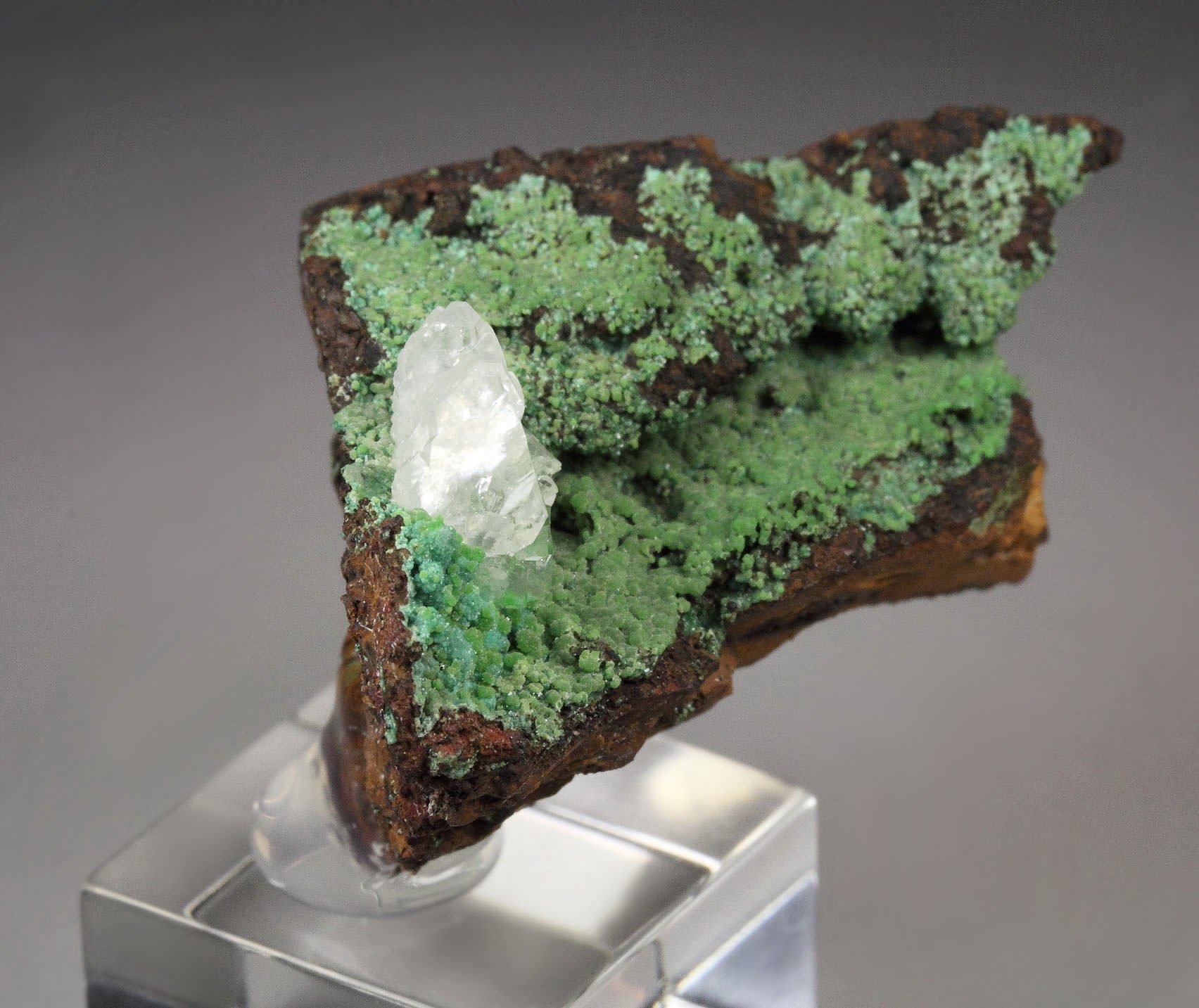 CONICHALCITE, CALCITE