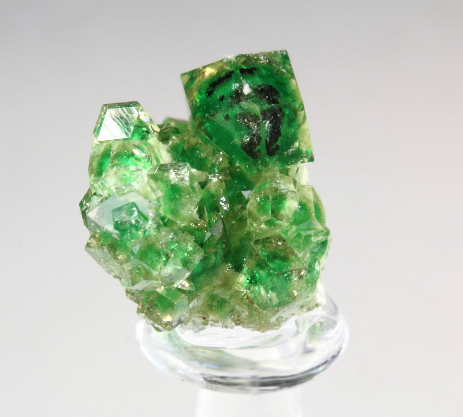 gem GARNET var. GROSSULAR with GREEN CHROMIAN PHANTOMS, CHROMITE