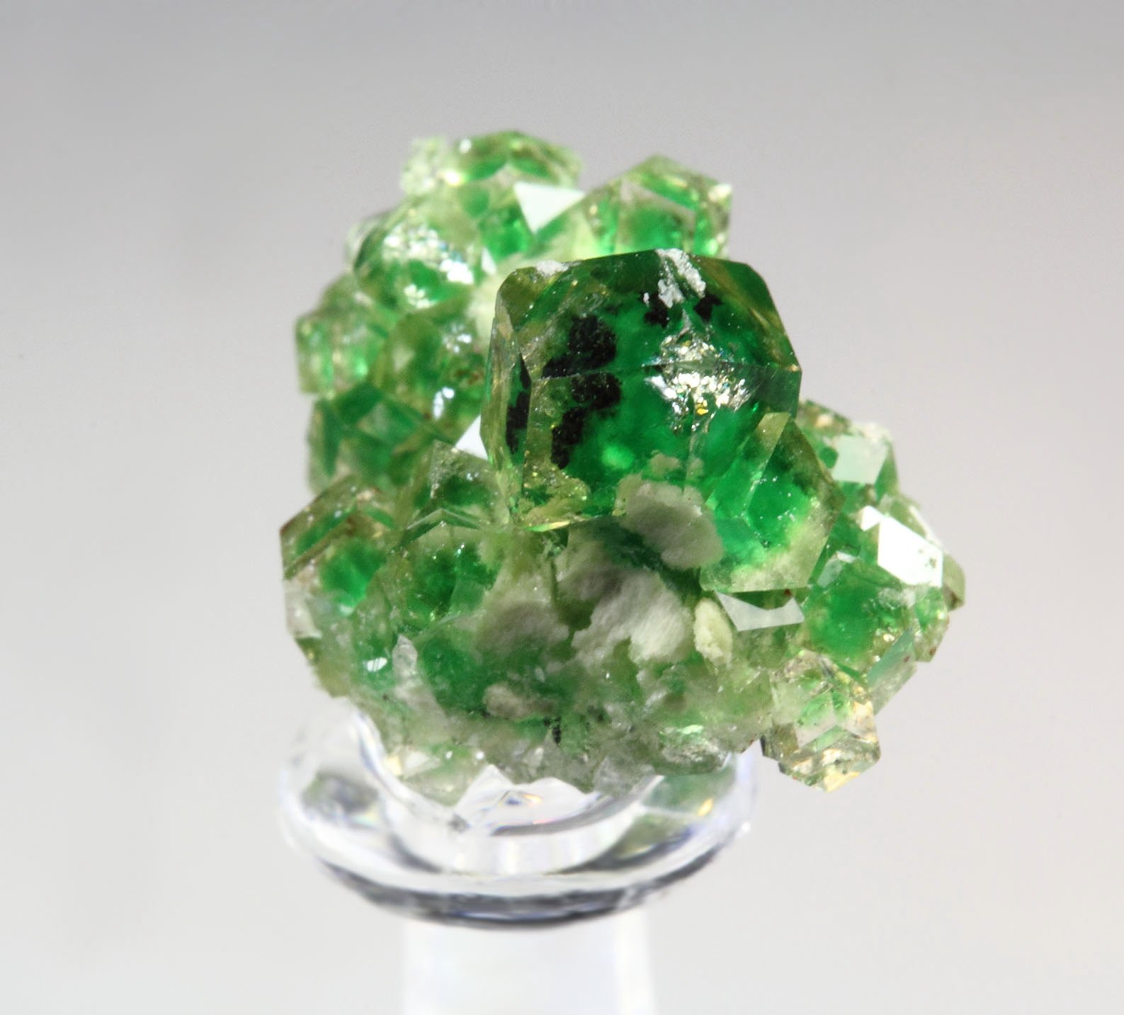 gem GARNET var. GROSSULAR with GREEN CHROMIAN PHANTOMS, CHROMITE