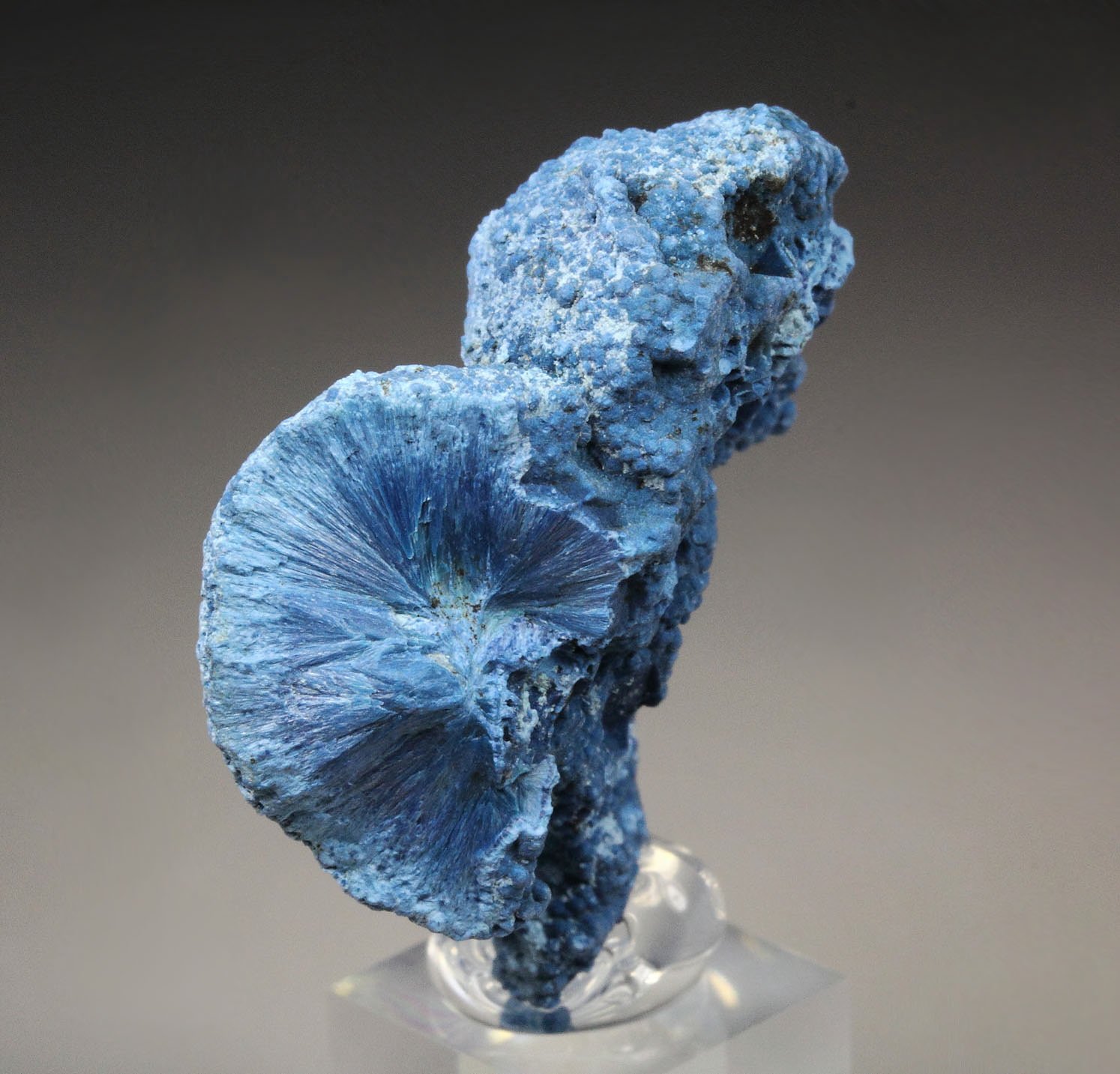 SHATTUCKITE