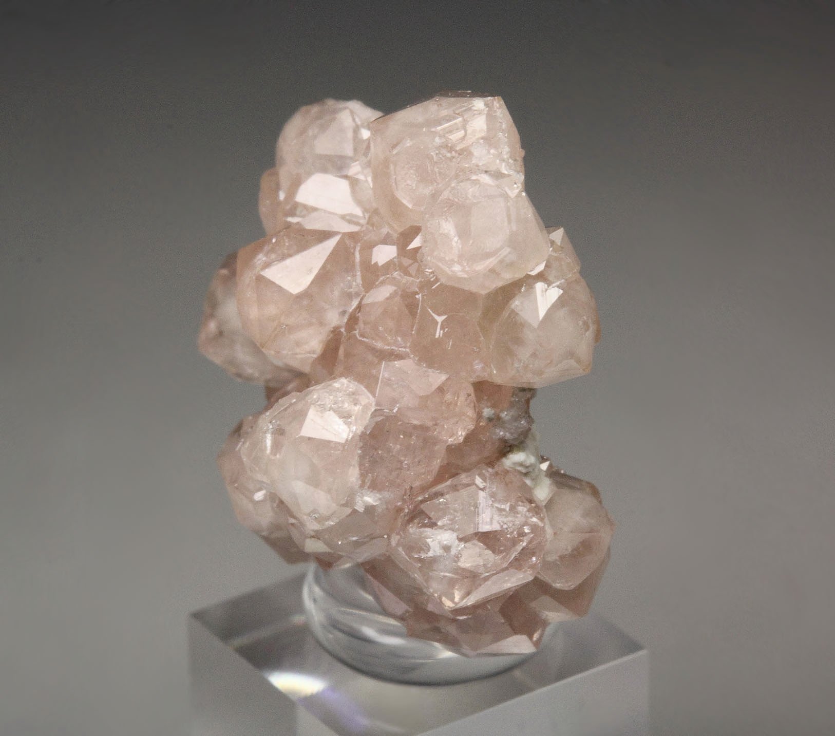 gem pink GARNET var. GROSSULAR