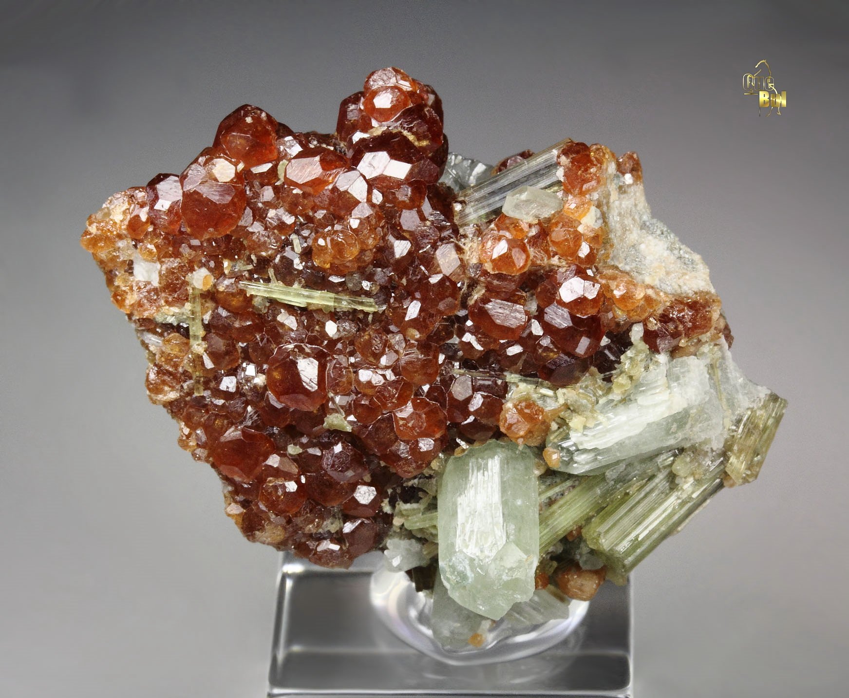 gemmy GARNET var. HESSONITE, DIOPSIDE