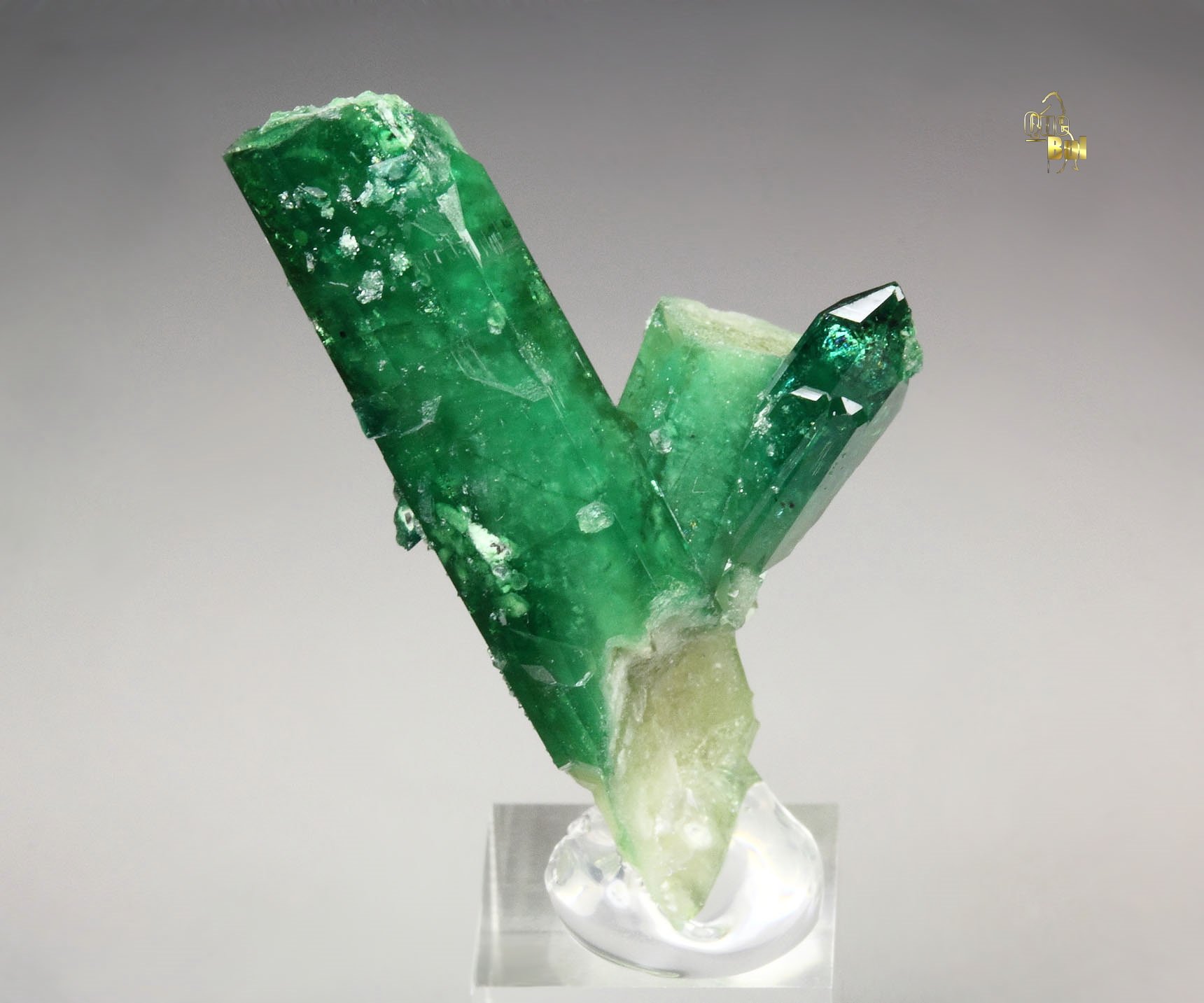 gem VESUVIANITE var. CHROMIAN