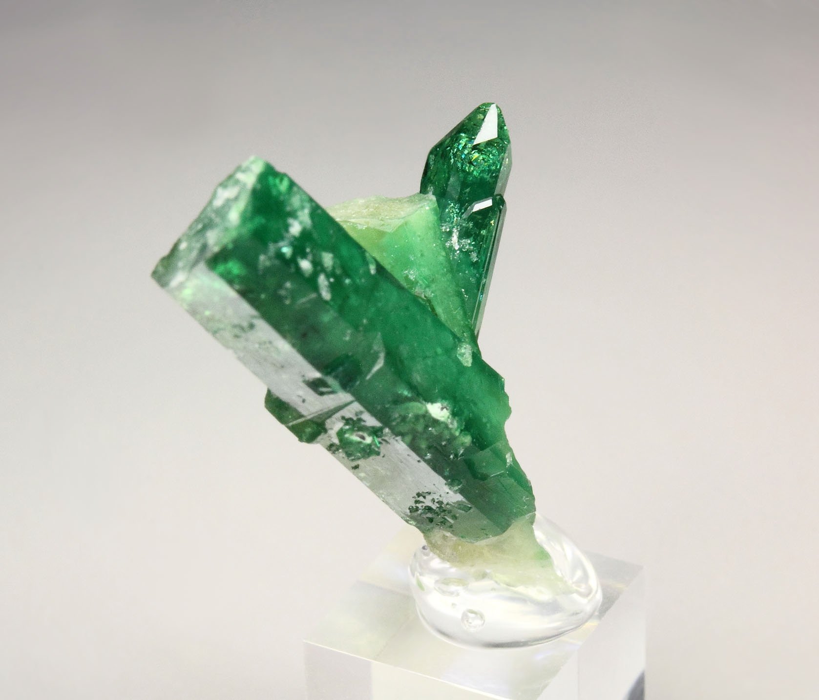 gem VESUVIANITE var. CHROMIAN