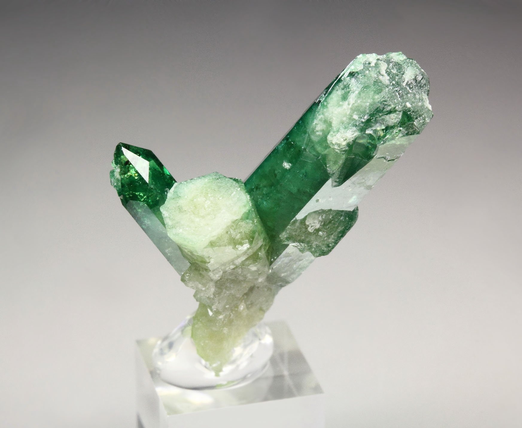 gem VESUVIANITE var. CHROMIAN