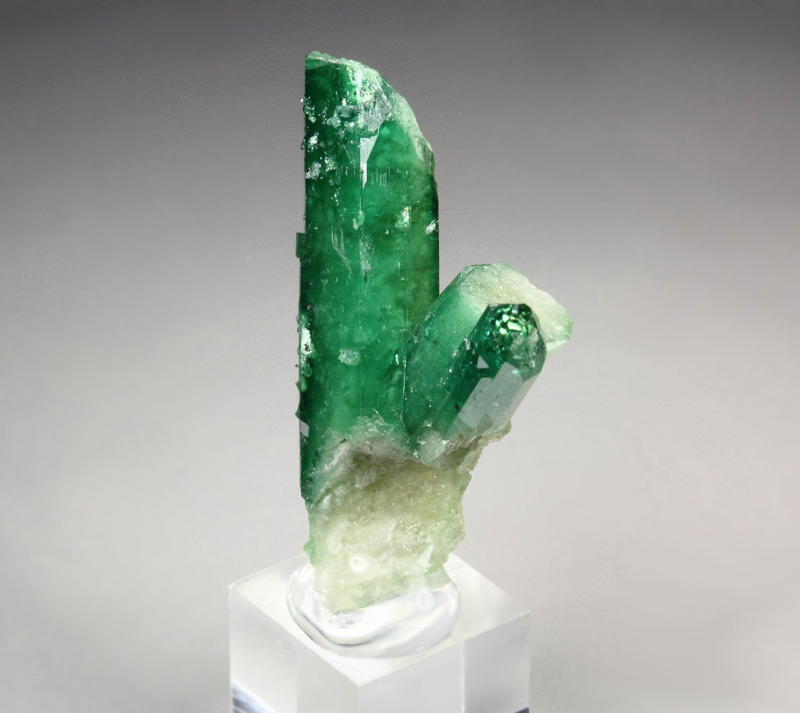 gem VESUVIANITE var. CHROMIAN