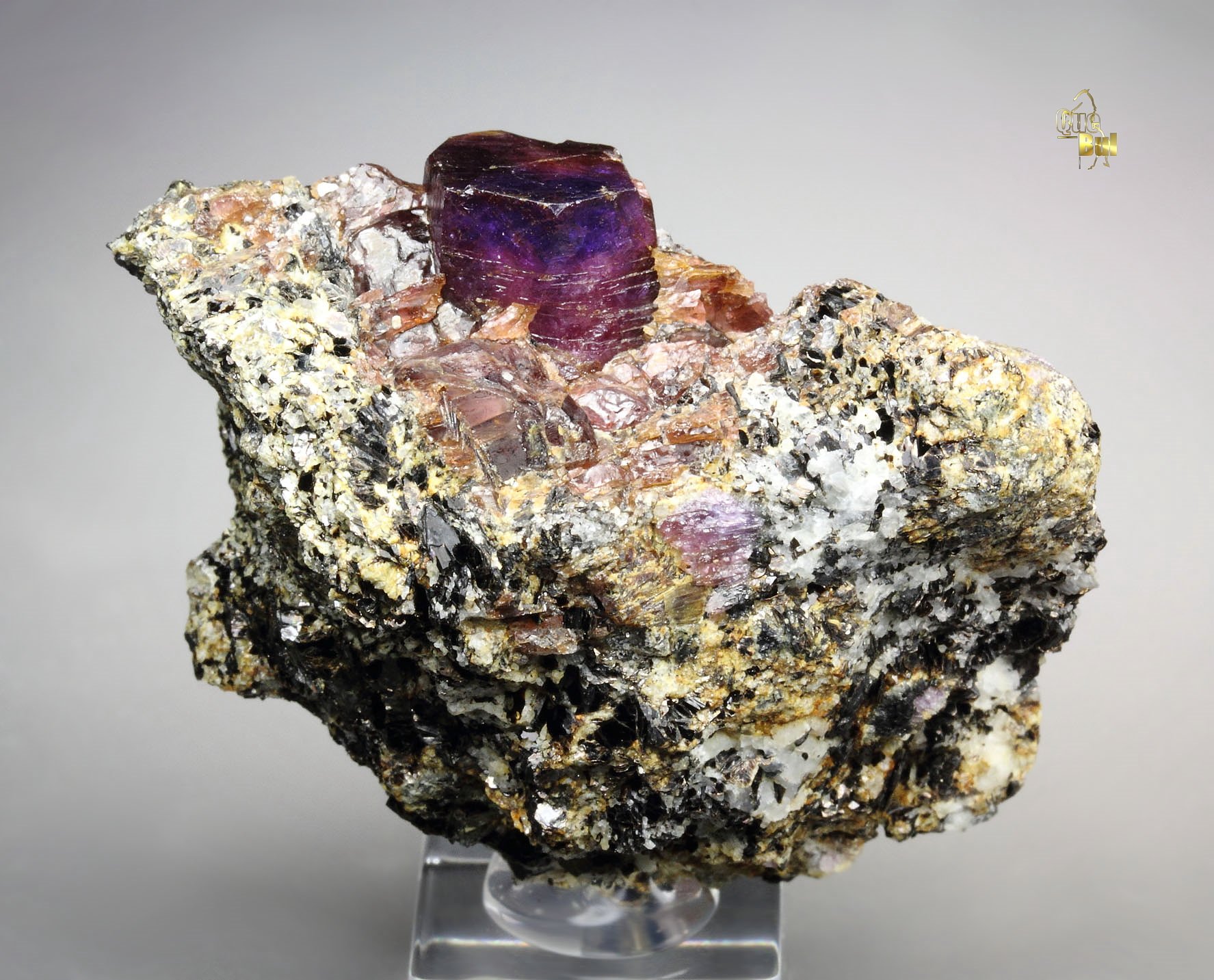 bi-color CORUNDUM var. RUBY, MUSCOVITE