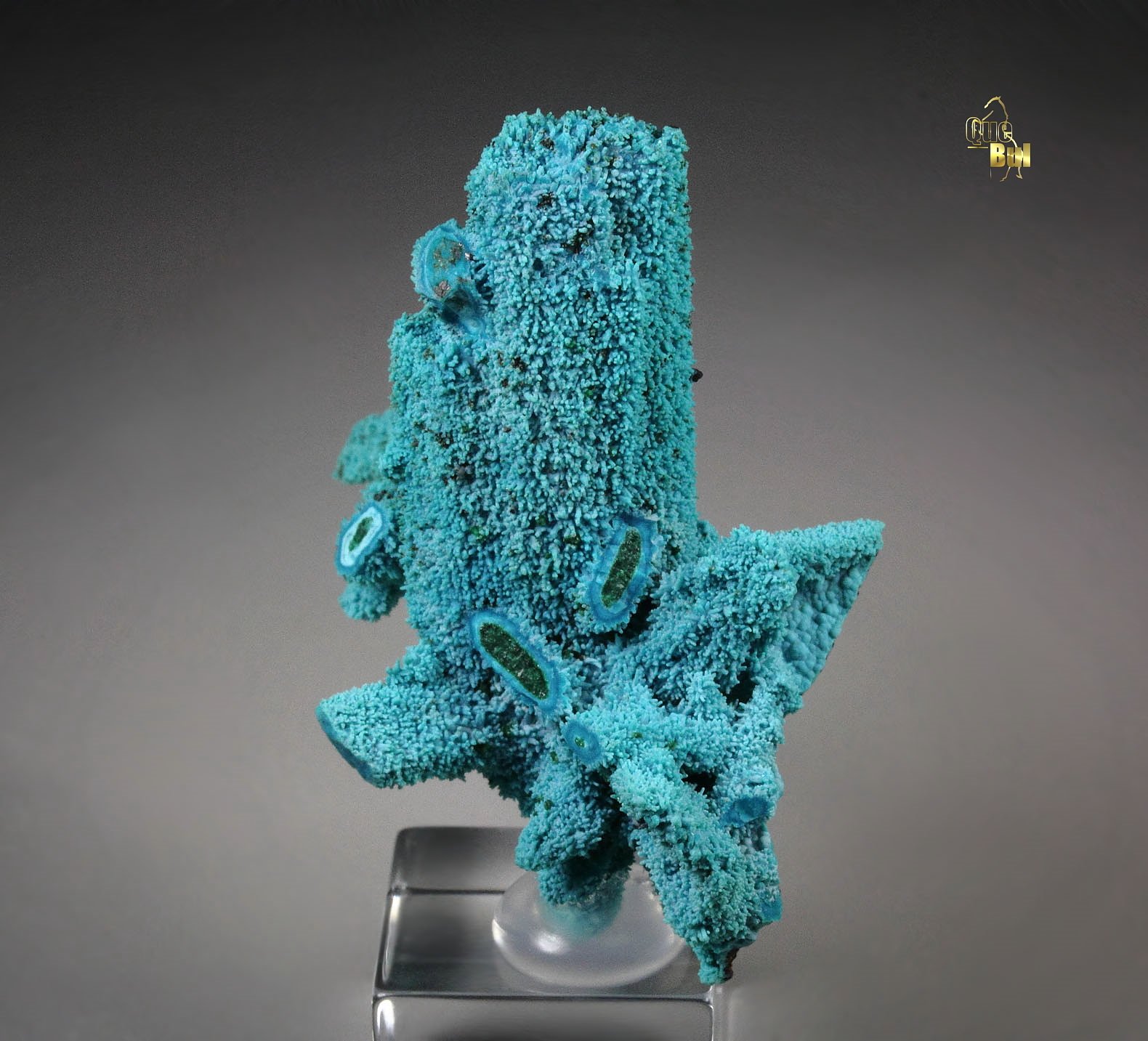 CHRYSOCOLLA pseudomorph after AZURITE, after MALACHITE