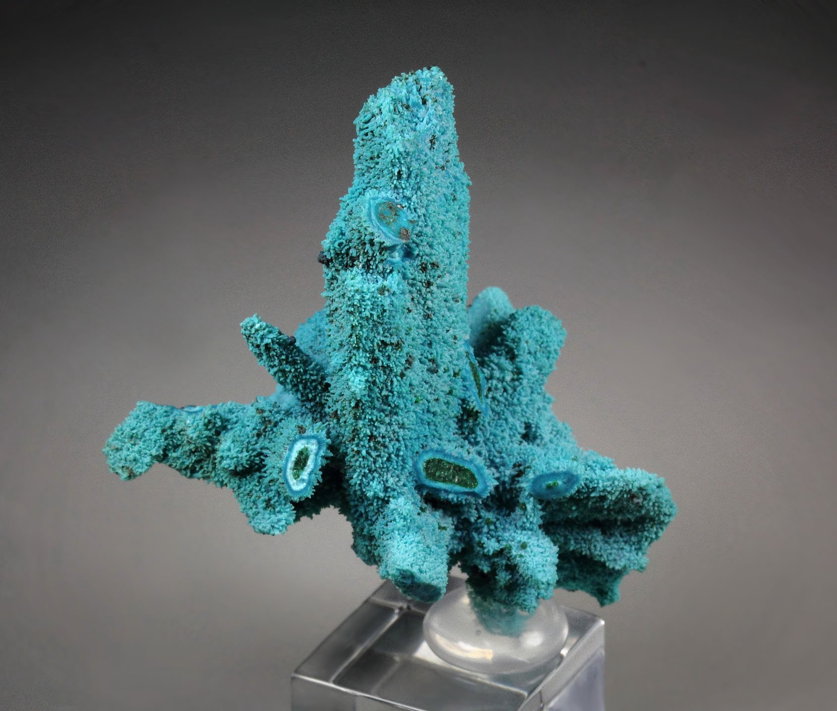 CHRYSOCOLLA pseudomorph after AZURITE, after MALACHITE