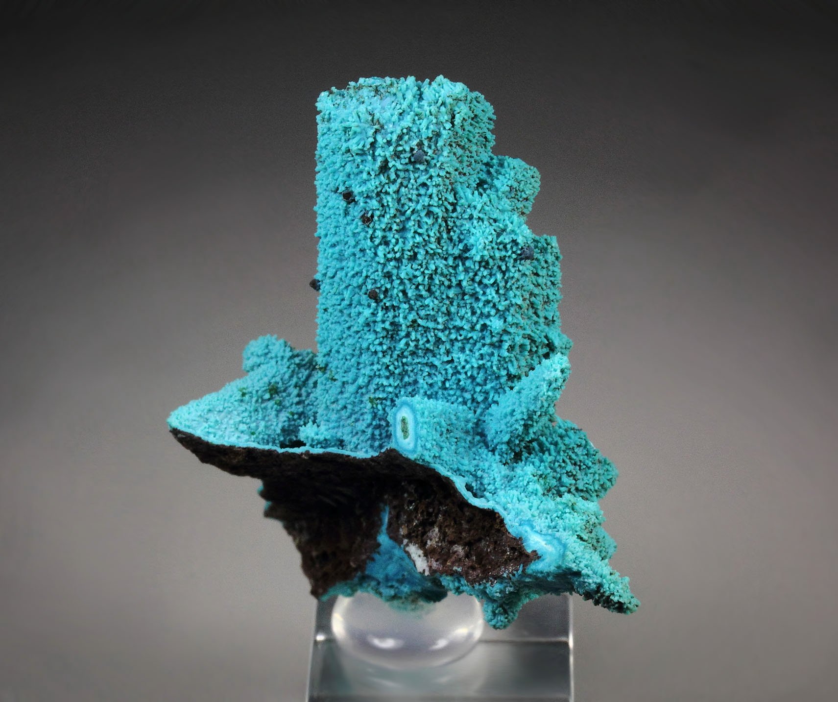 CHRYSOCOLLA pseudomorph after AZURITE, after MALACHITE