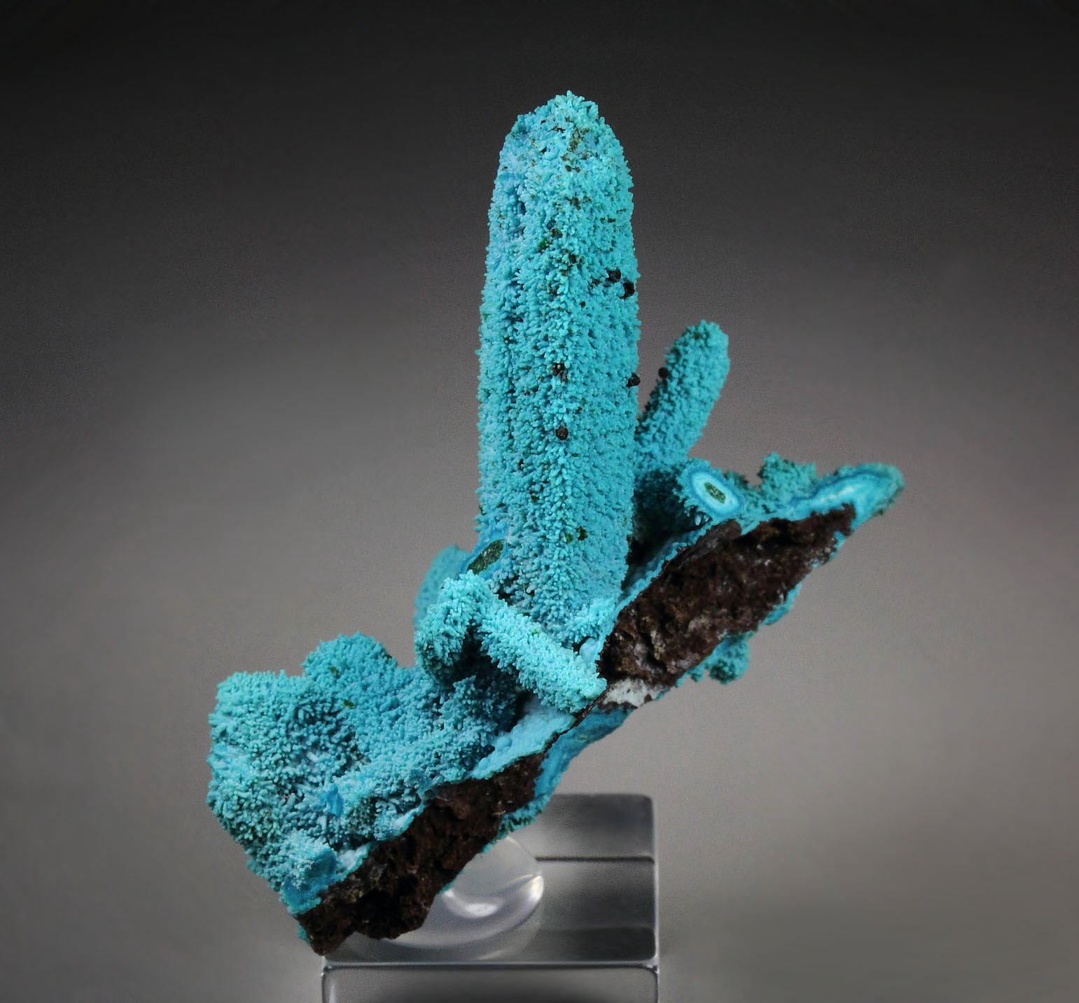 CHRYSOCOLLA pseudomorph after AZURITE, after MALACHITE