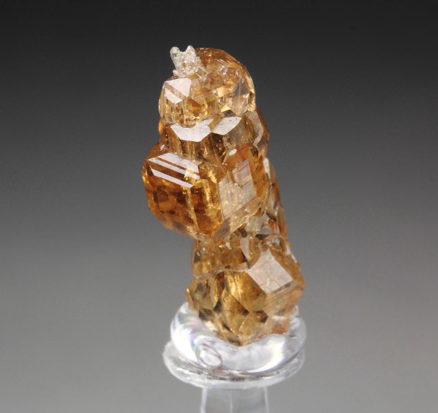 gem GARNET var. GROSSULAR