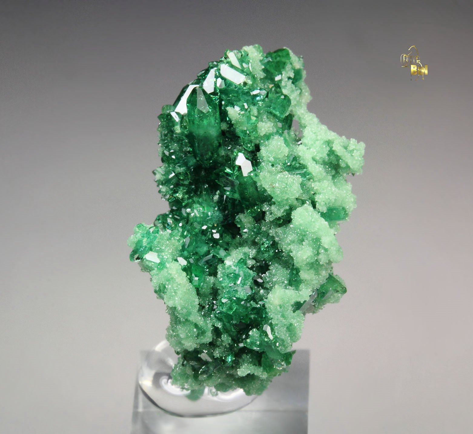 gem VESUVIANITE var. CHROMIAN