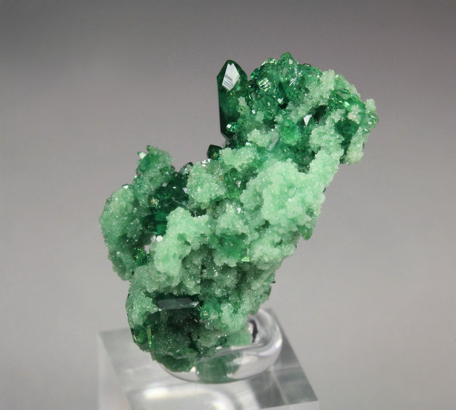 gem VESUVIANITE var. CHROMIAN