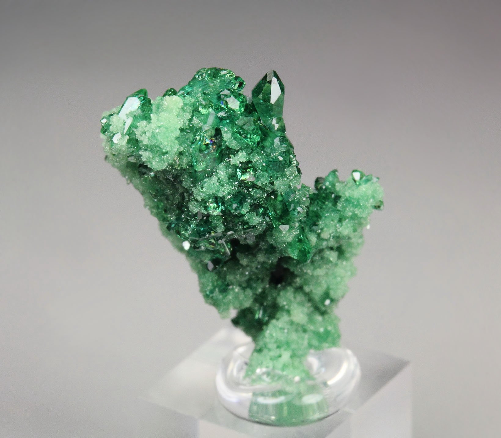 gem VESUVIANITE var. CHROMIAN