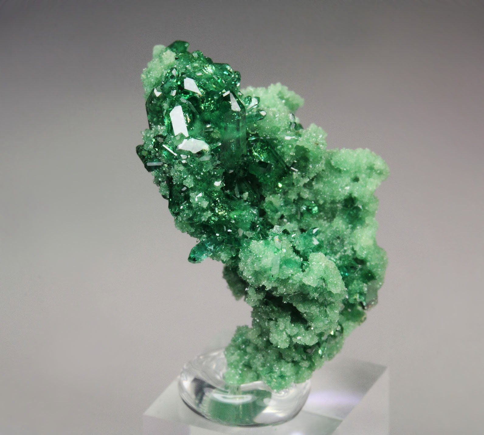 gem VESUVIANITE var. CHROMIAN