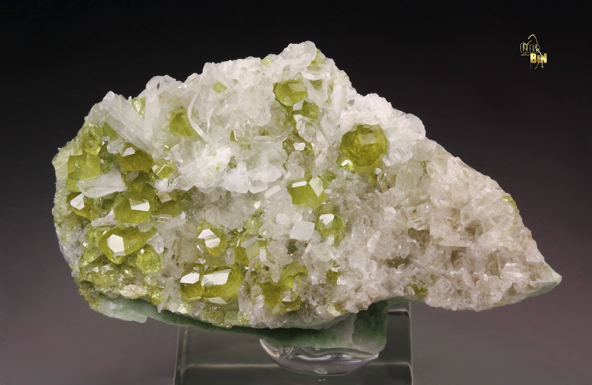 gem GARNET var. ANDRADITE, DIOPSIDE