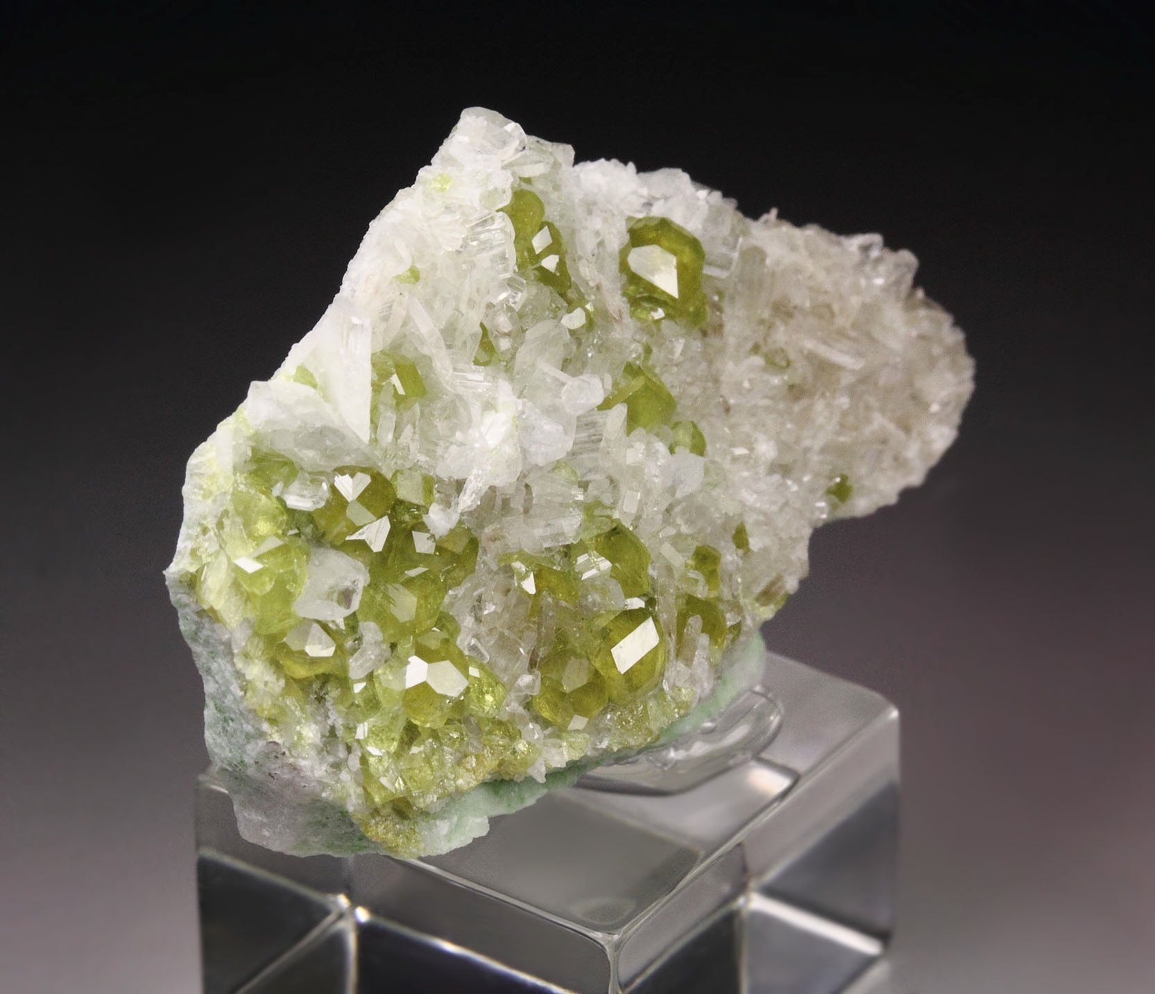 gem GARNET var. ANDRADITE, DIOPSIDE