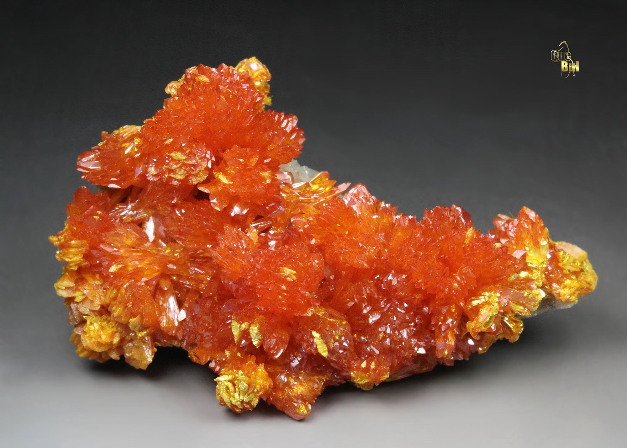 ORPIMENT