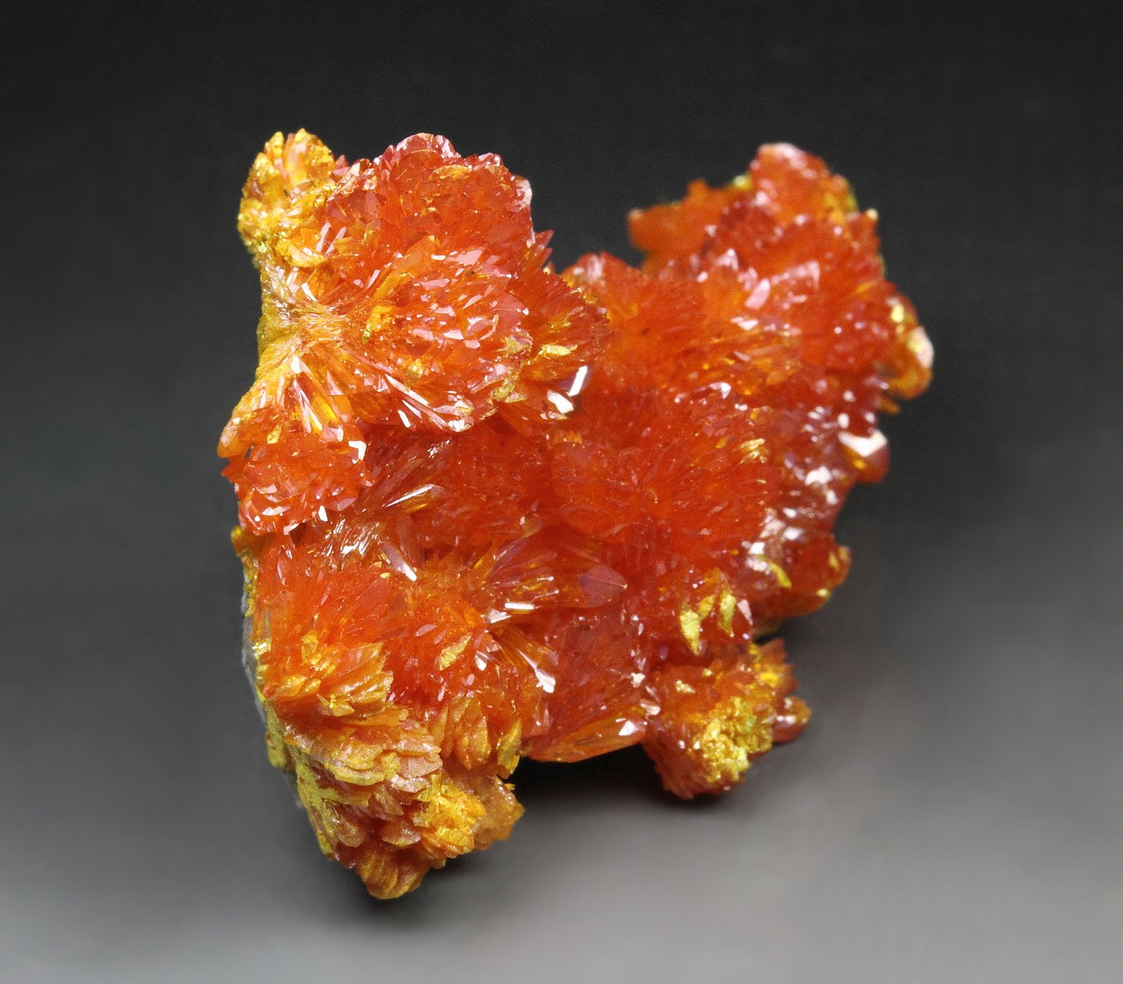 ORPIMENT