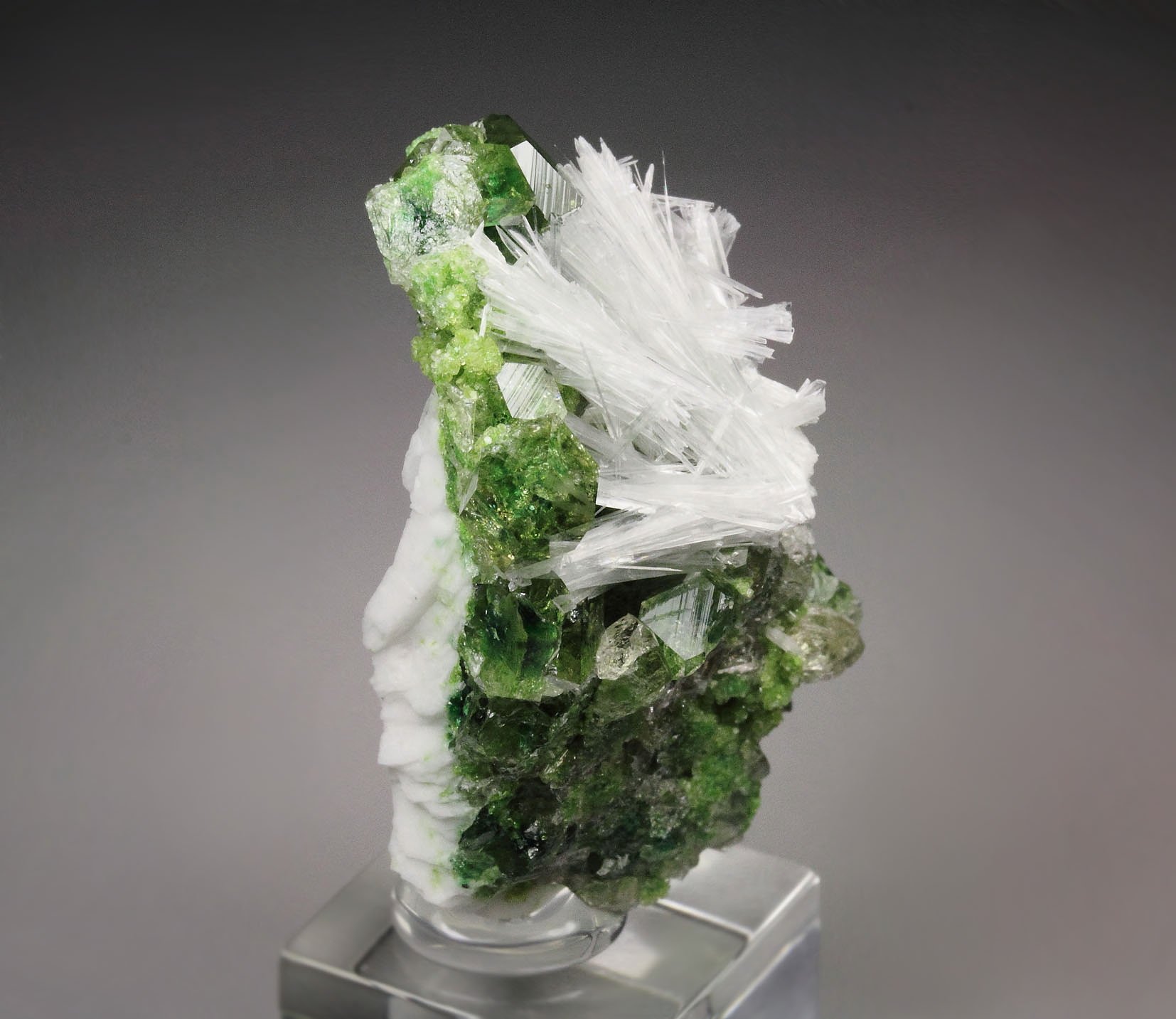 gem GARNET var. GROSSULAR with GREEN CHROMIAN PHANTOMS, PECTOLITE, DIOPSIDE