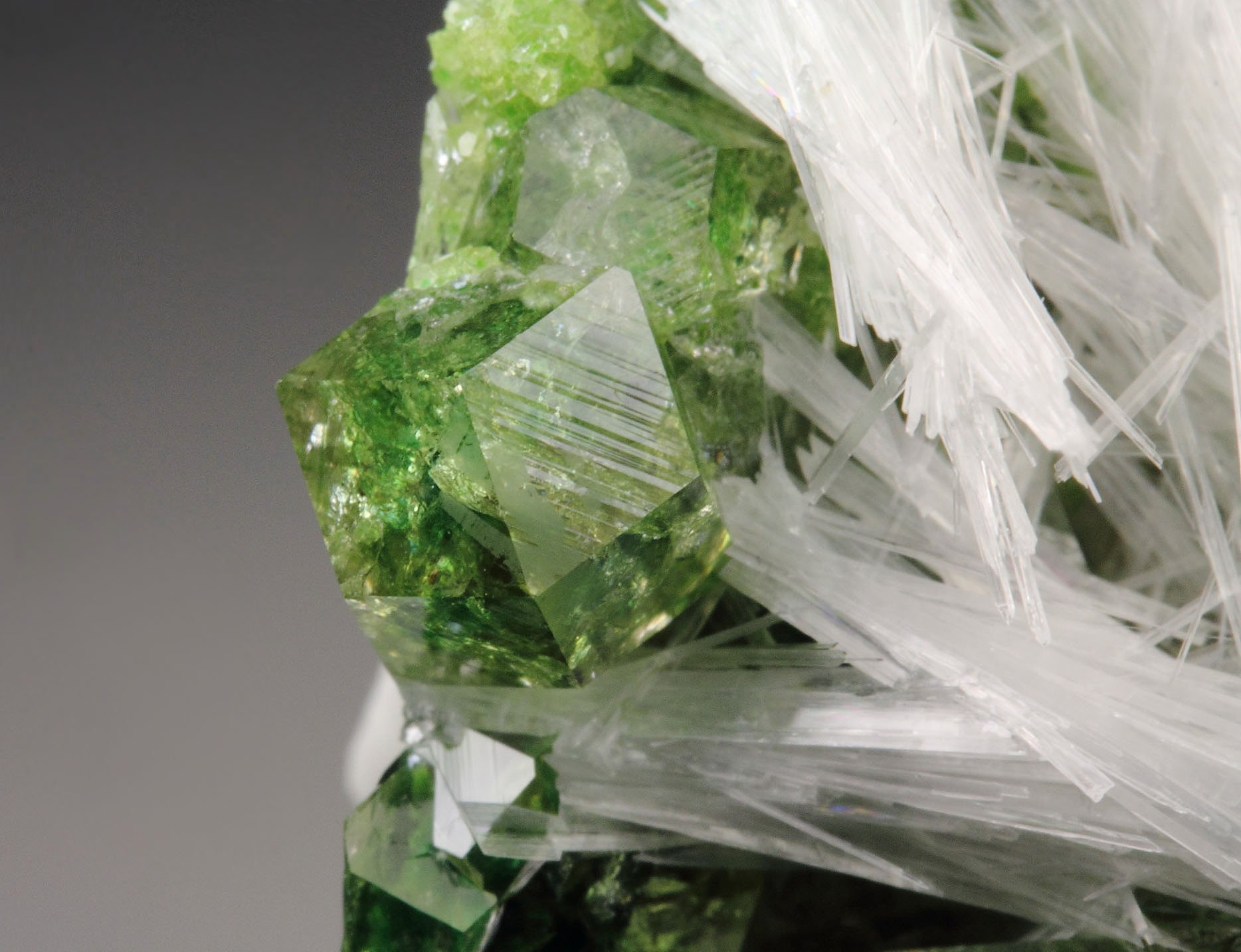 gem GARNET var. GROSSULAR with GREEN CHROMIAN PHANTOMS, PECTOLITE, DIOPSIDE