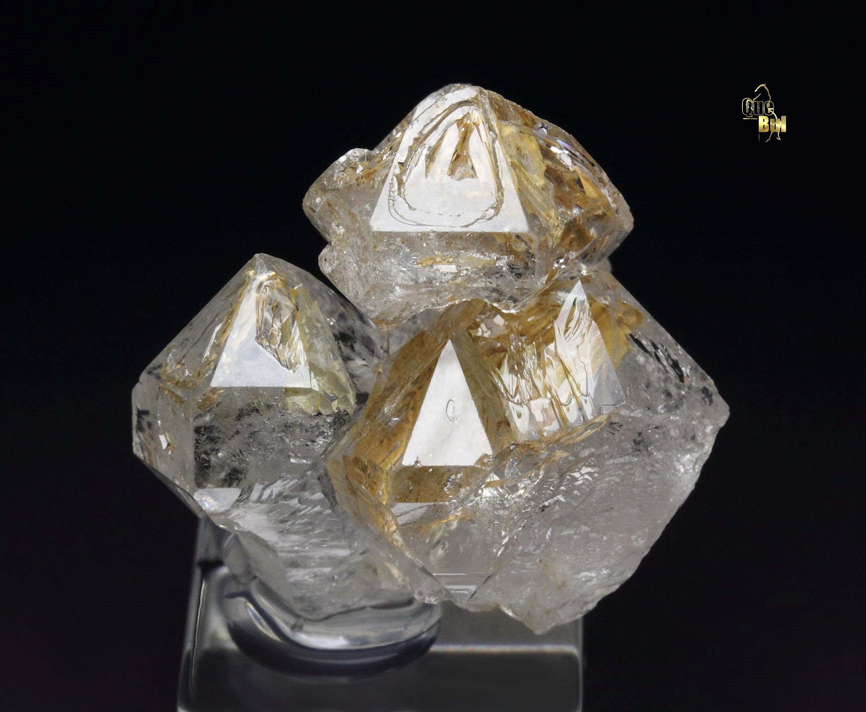 skeletal QUARTZ