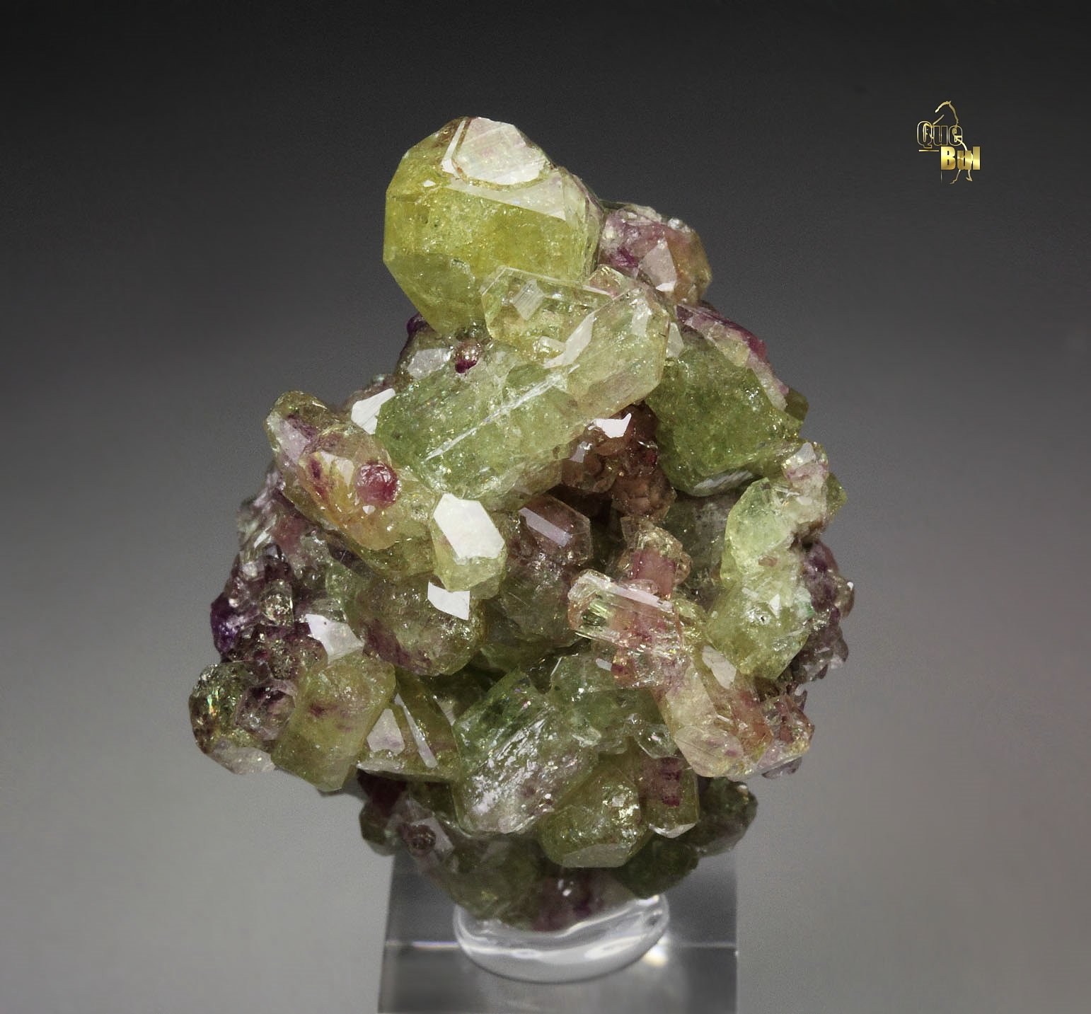 gem bi-terminated VESUVIANITE bi-color