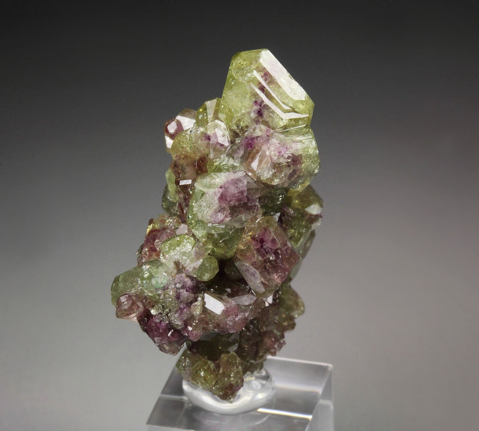 gem bi-terminated VESUVIANITE bi-color