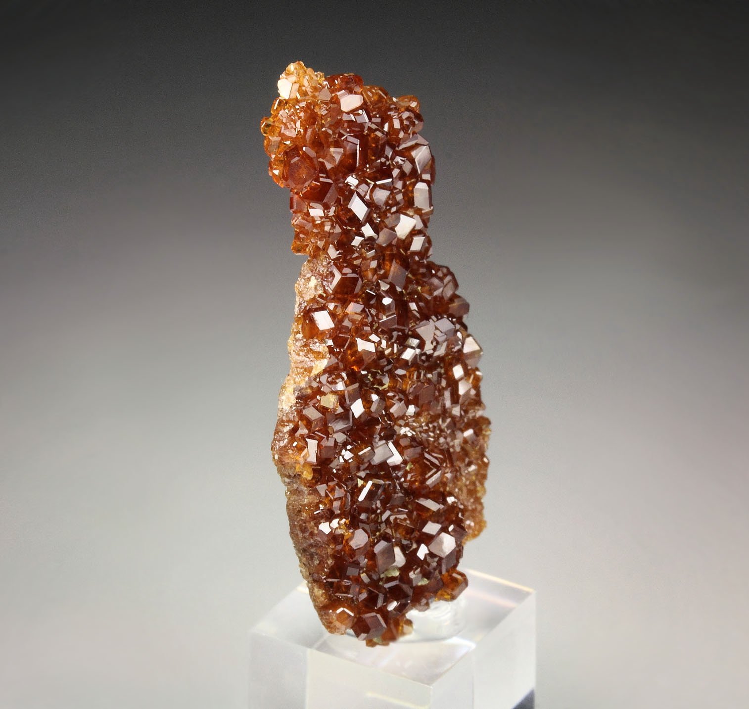 gem GARNET var. HESSONITE