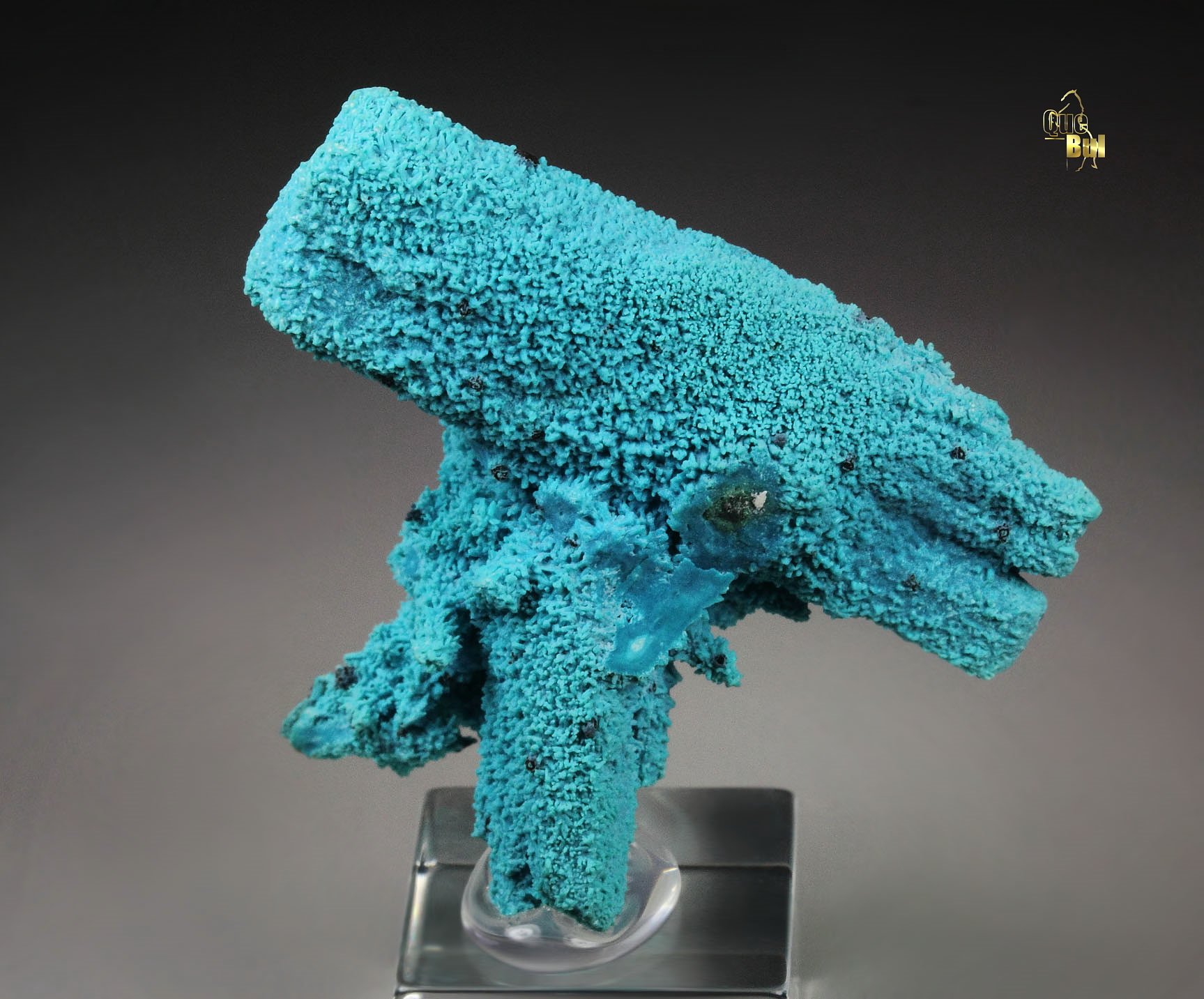 CHRYSOCOLLA pseudomorph after AZURITE