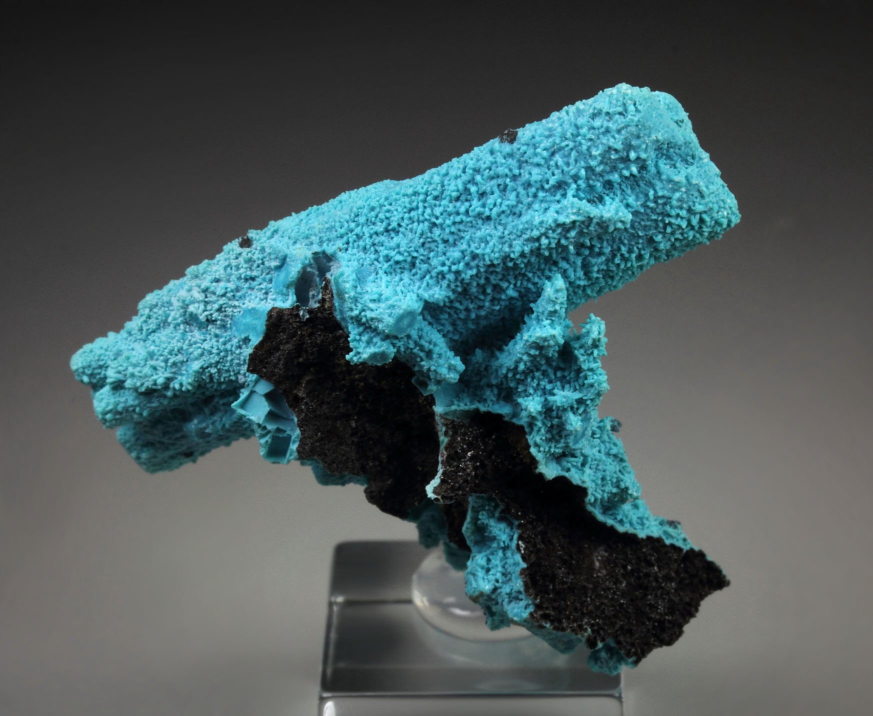 CHRYSOCOLLA pseudomorph after AZURITE