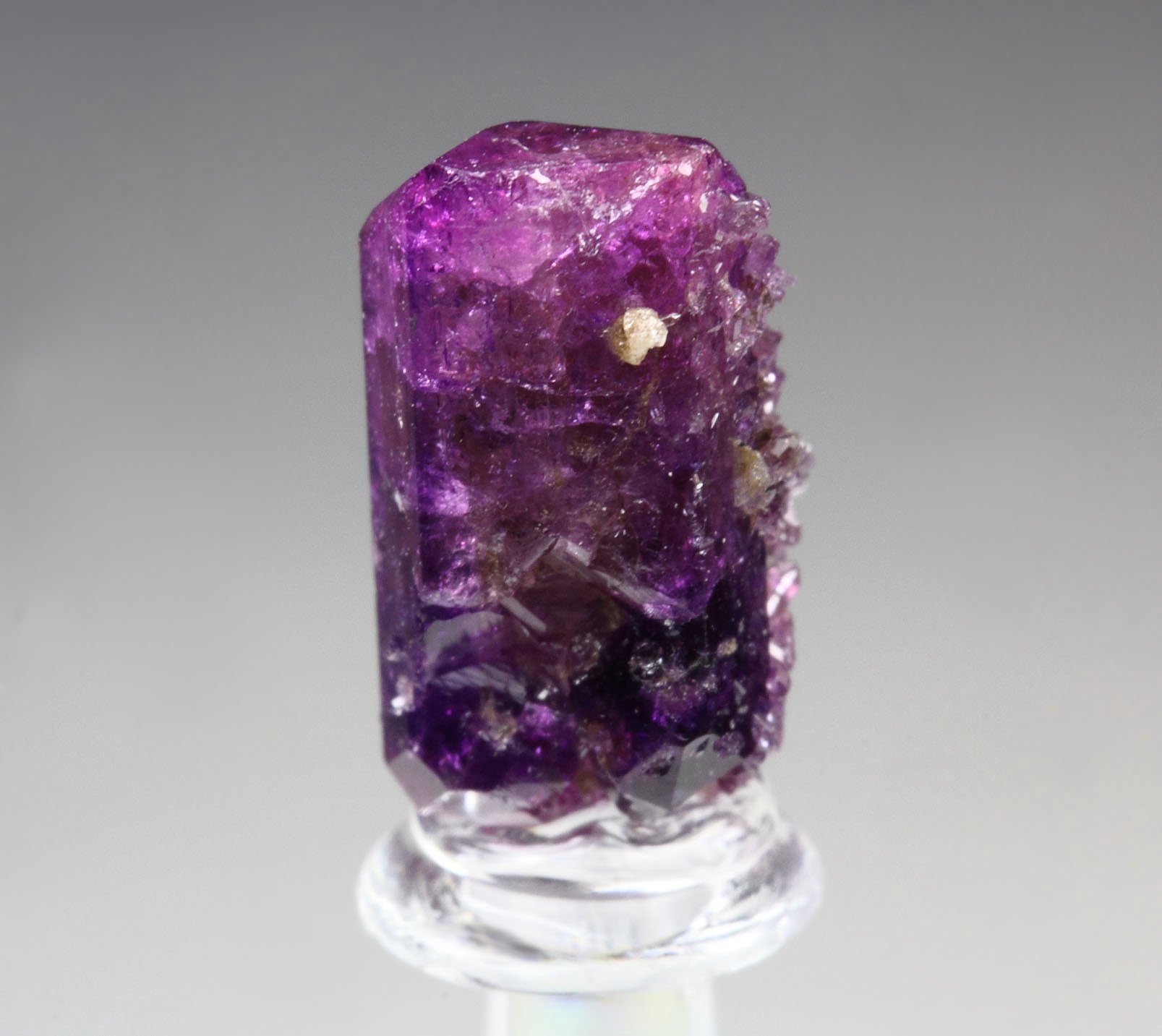 VESUVIANITE var. MANGANOAN, GARNET var. GROSSULAR