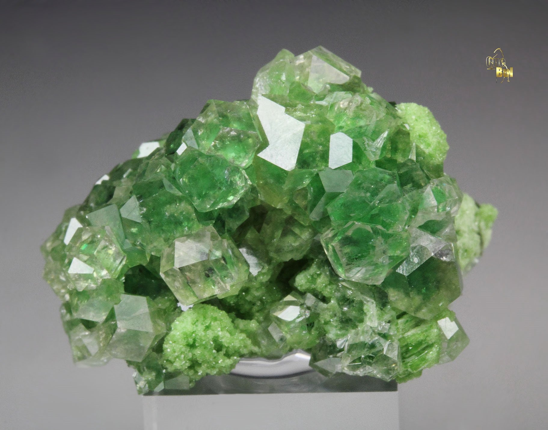 gem GARNET var. GROSSULAR with GREEN CHROMIAN PHANTOMS