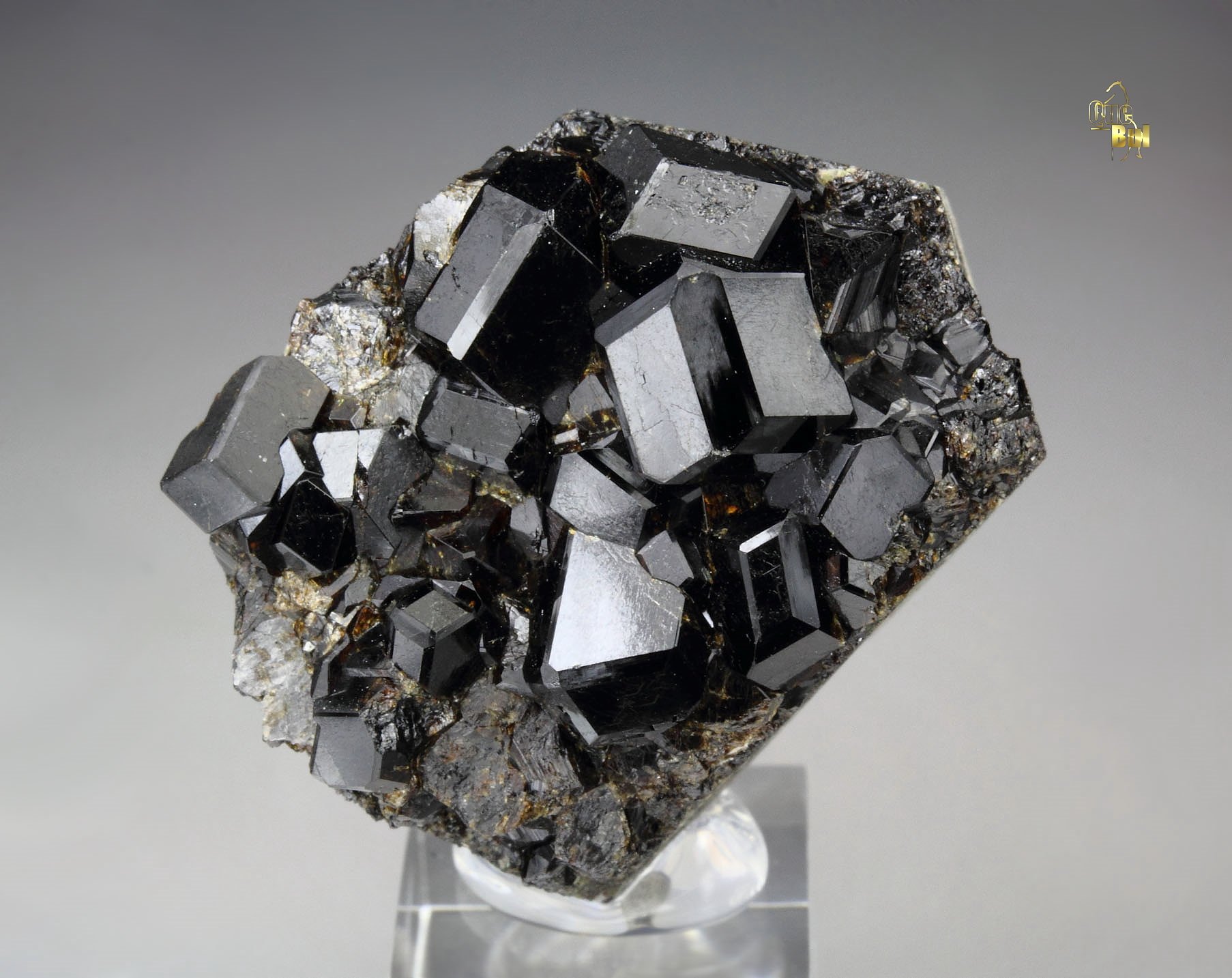 GARNET var. ANDRADITE var. MELANITE